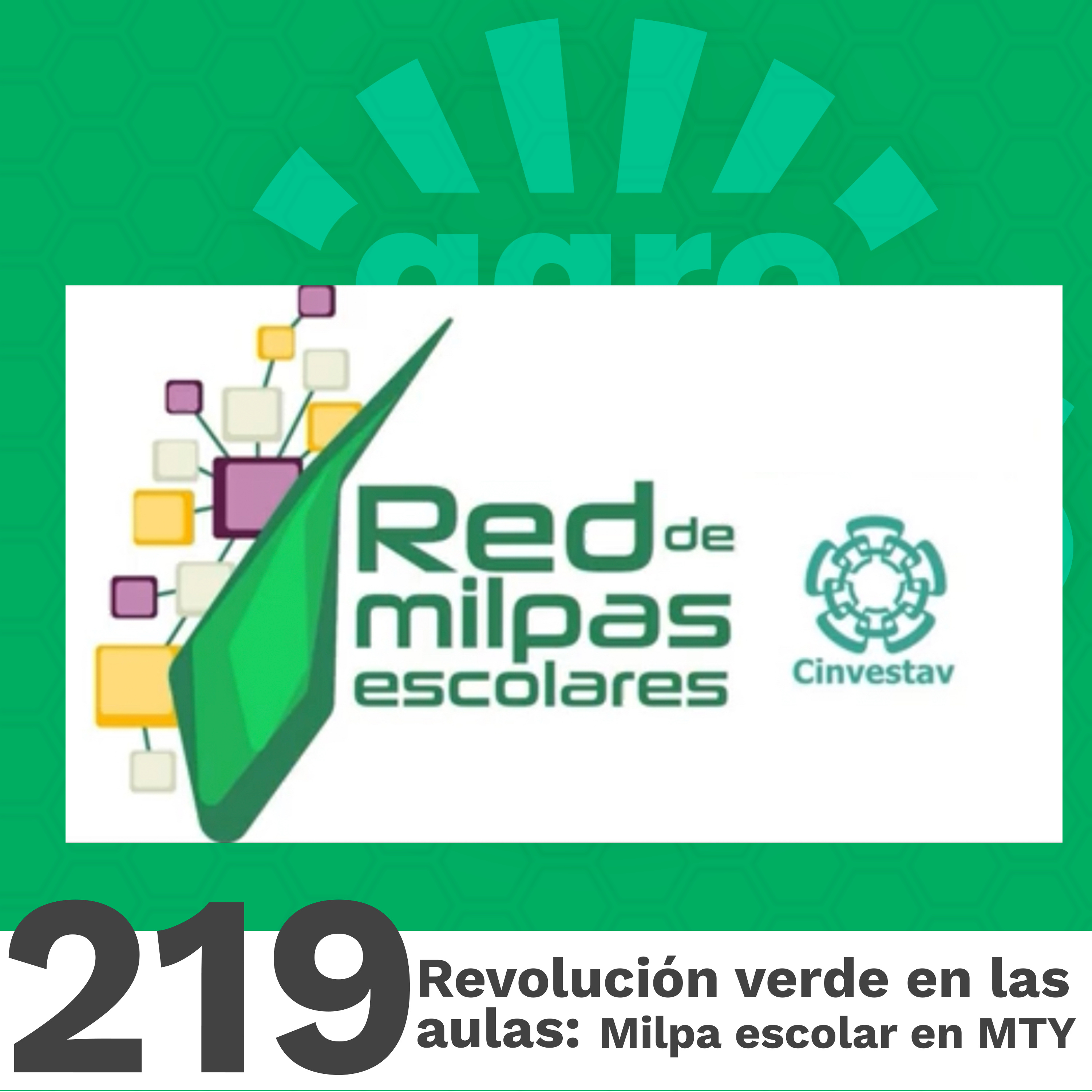 219| La Revolución Verde en las Aulas: Milpa Escolar en Monterrey, NL