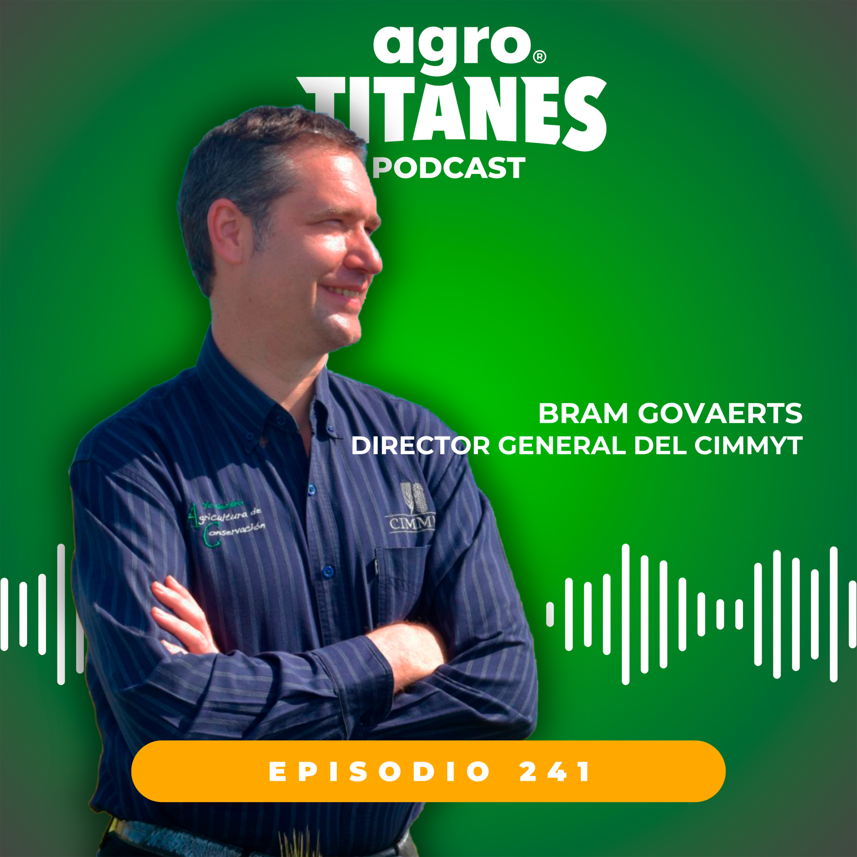 241 | CIMMYT BRAM