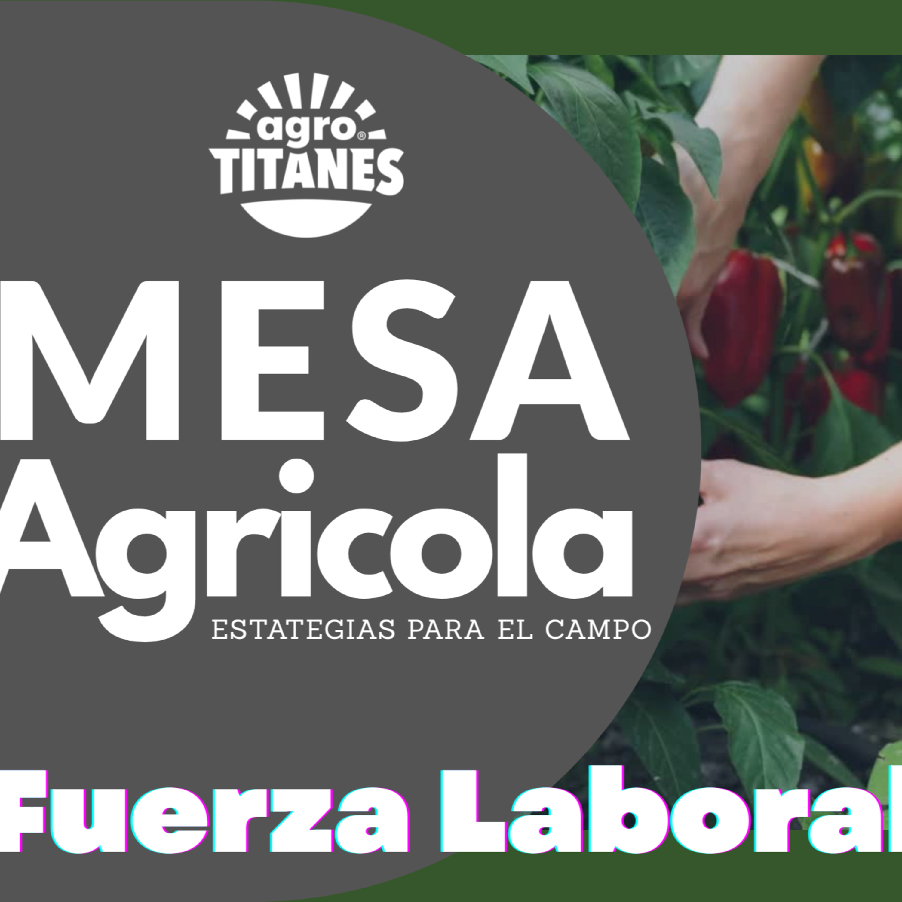 Mesa Agricola, Fuerza Laboral