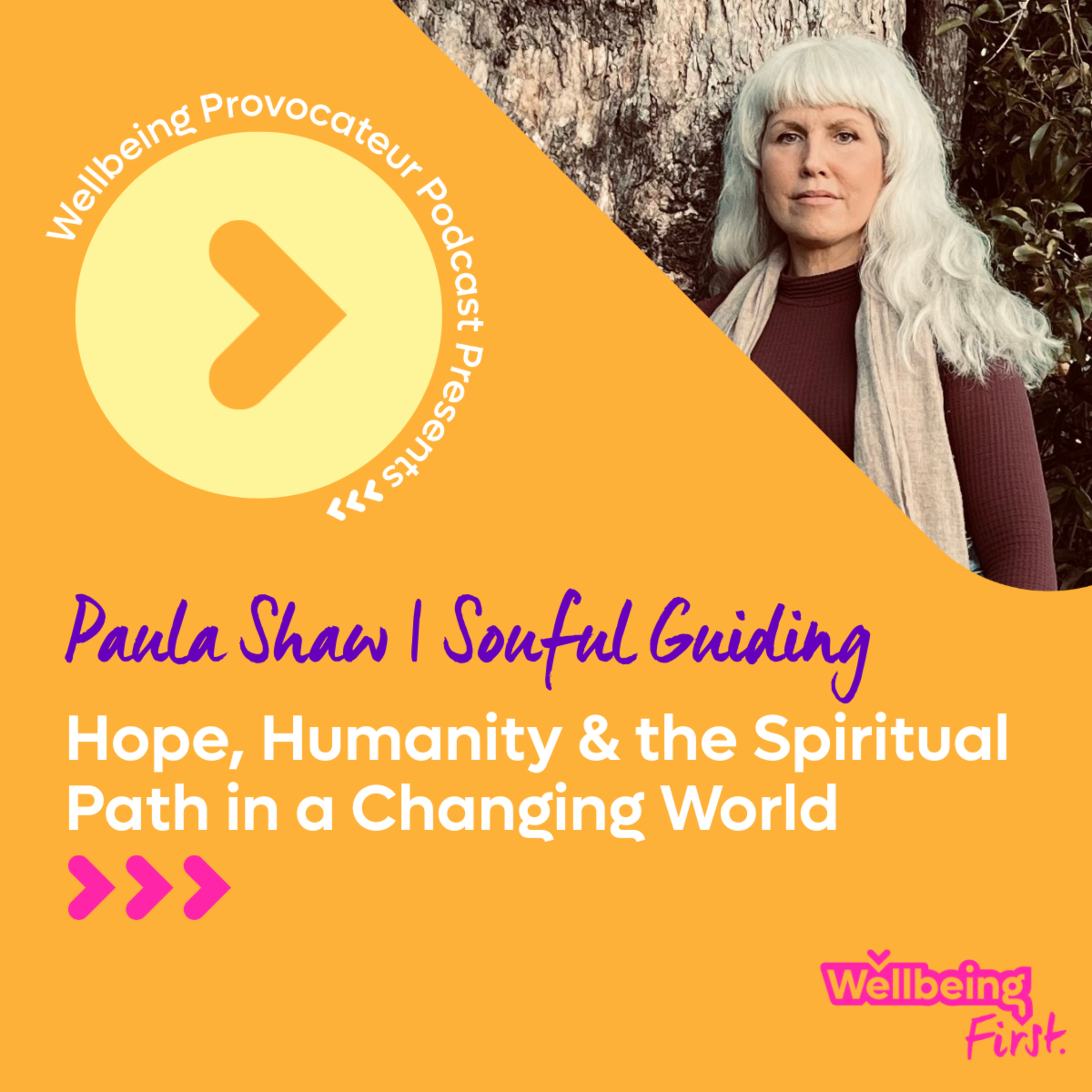 Wellbeing Provocateur Podcast