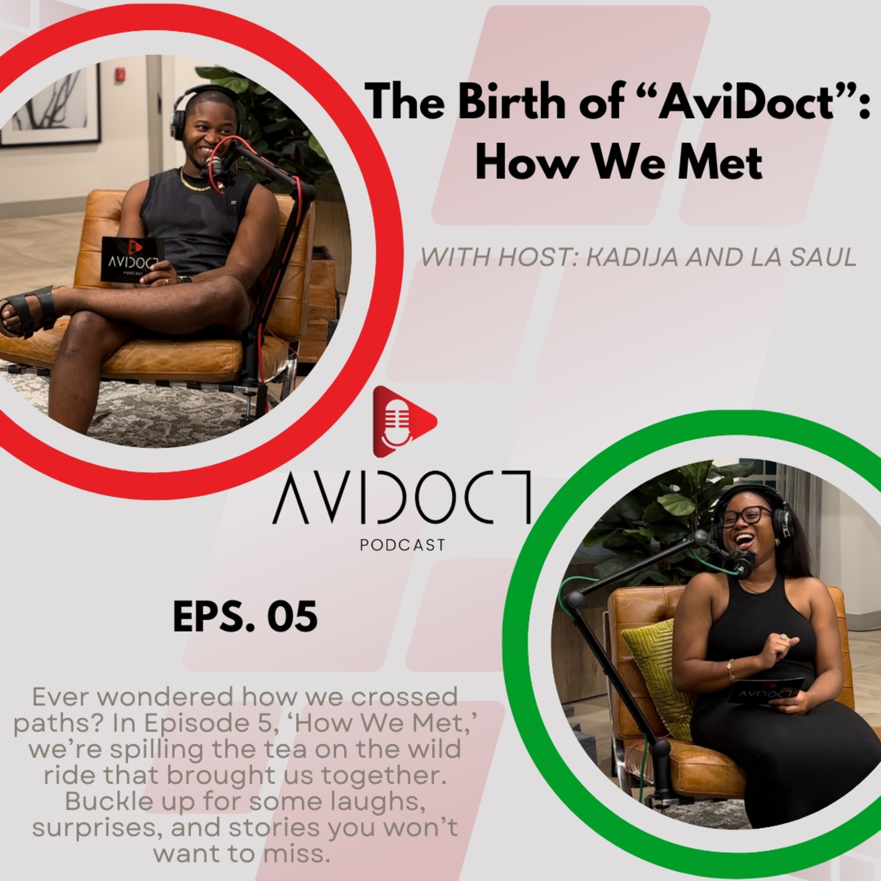 The Birth of "AviDoct": How We Met episode artwork