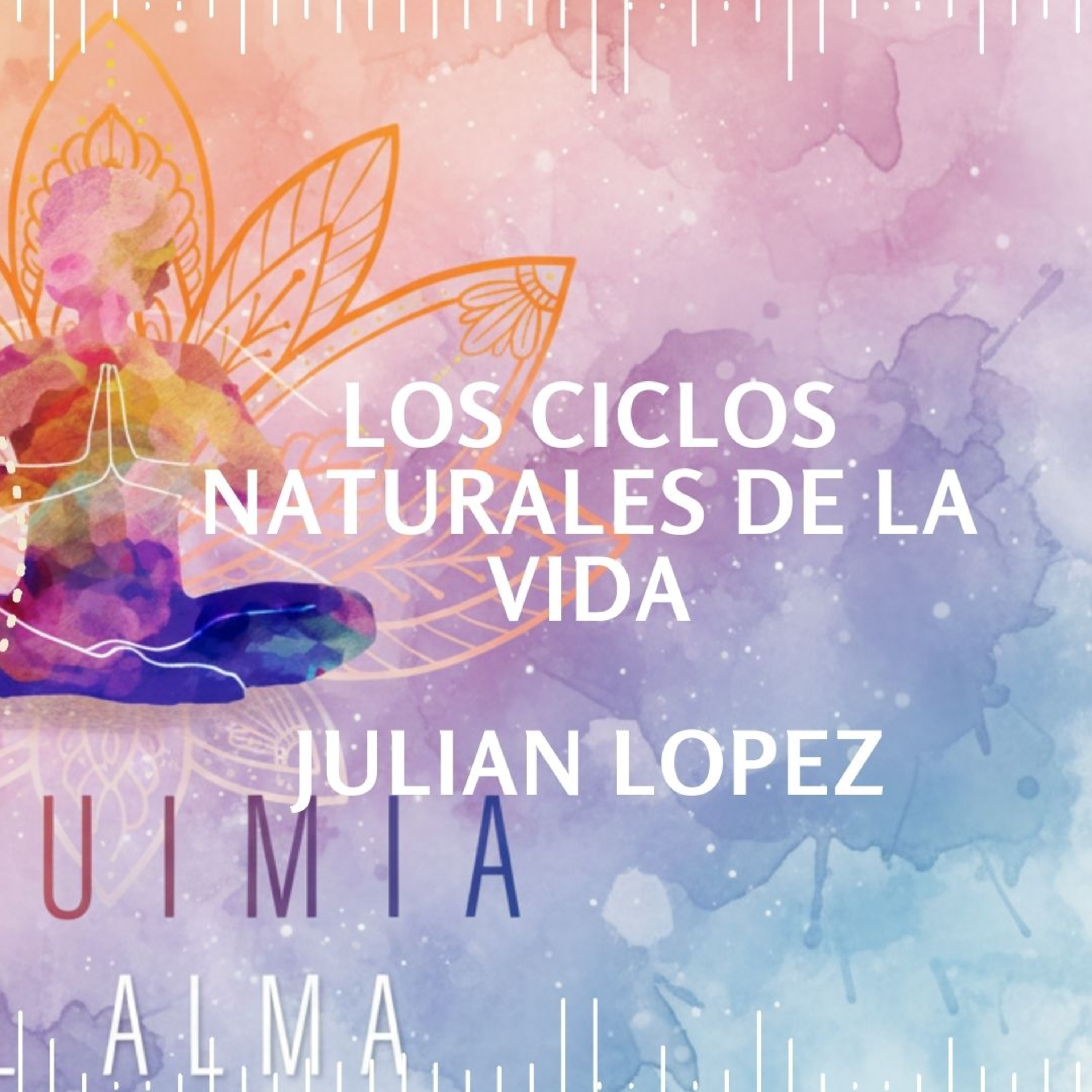 Portada de Alquimia del Alma