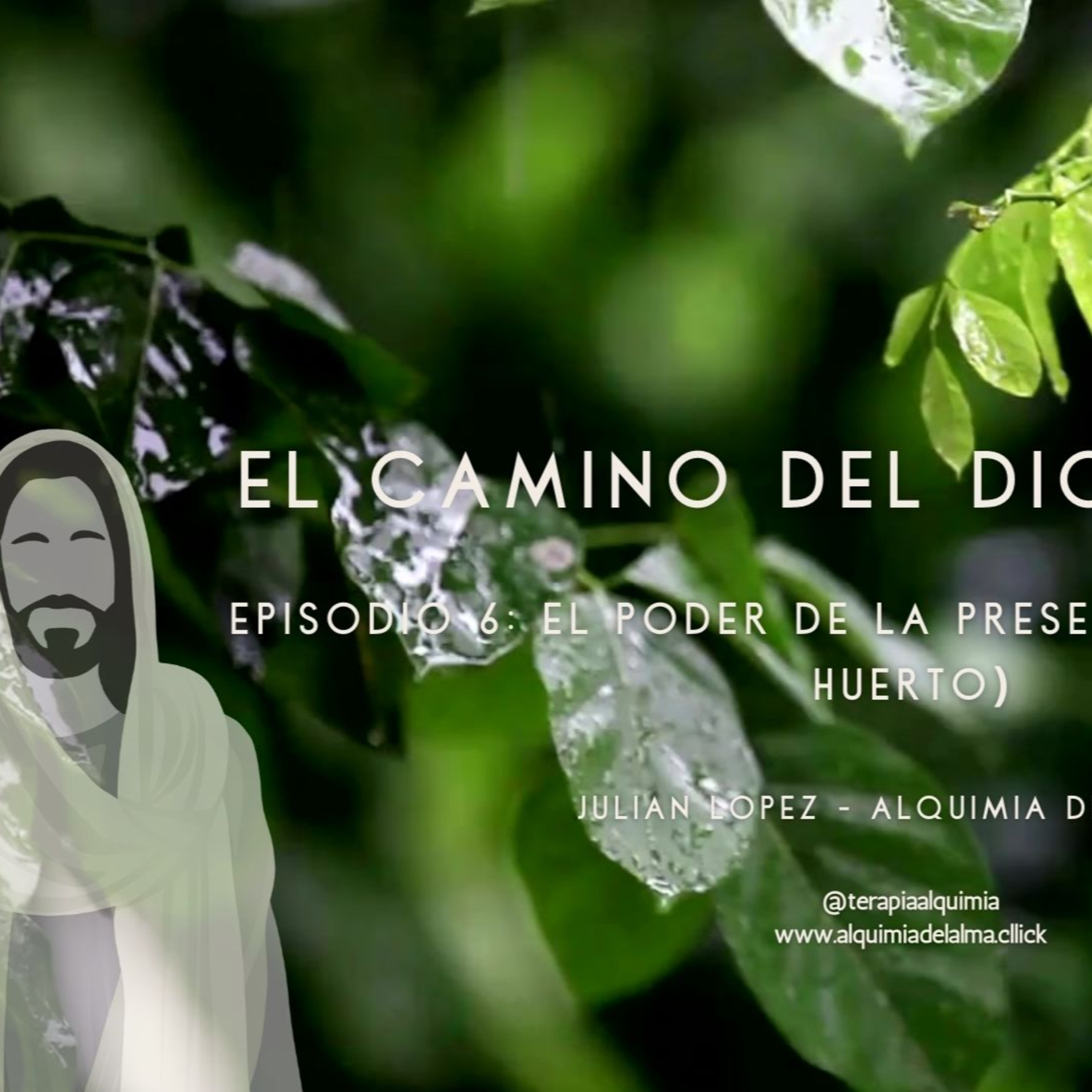 Portada de Alquimia del Alma