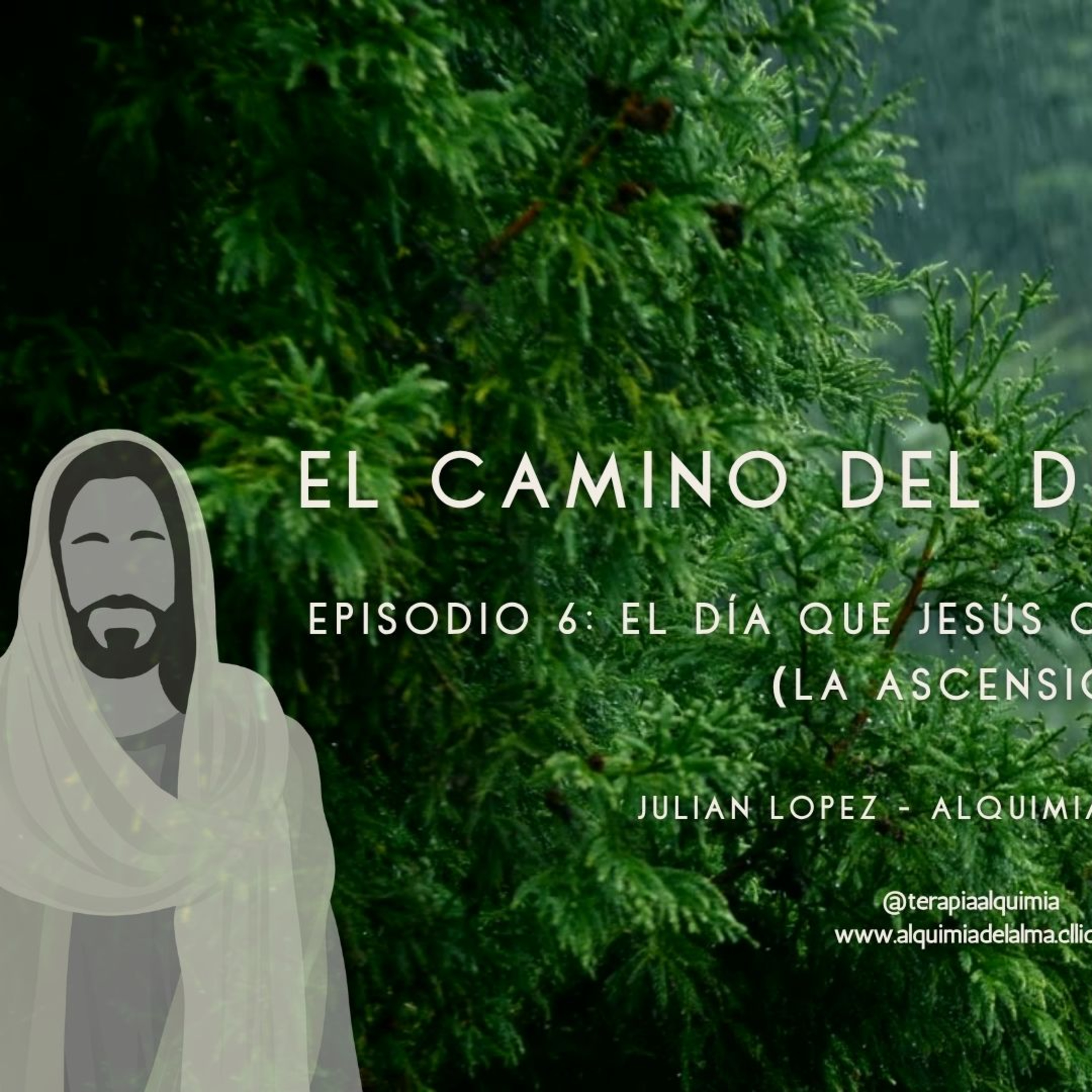 Portada de Alquimia del Alma