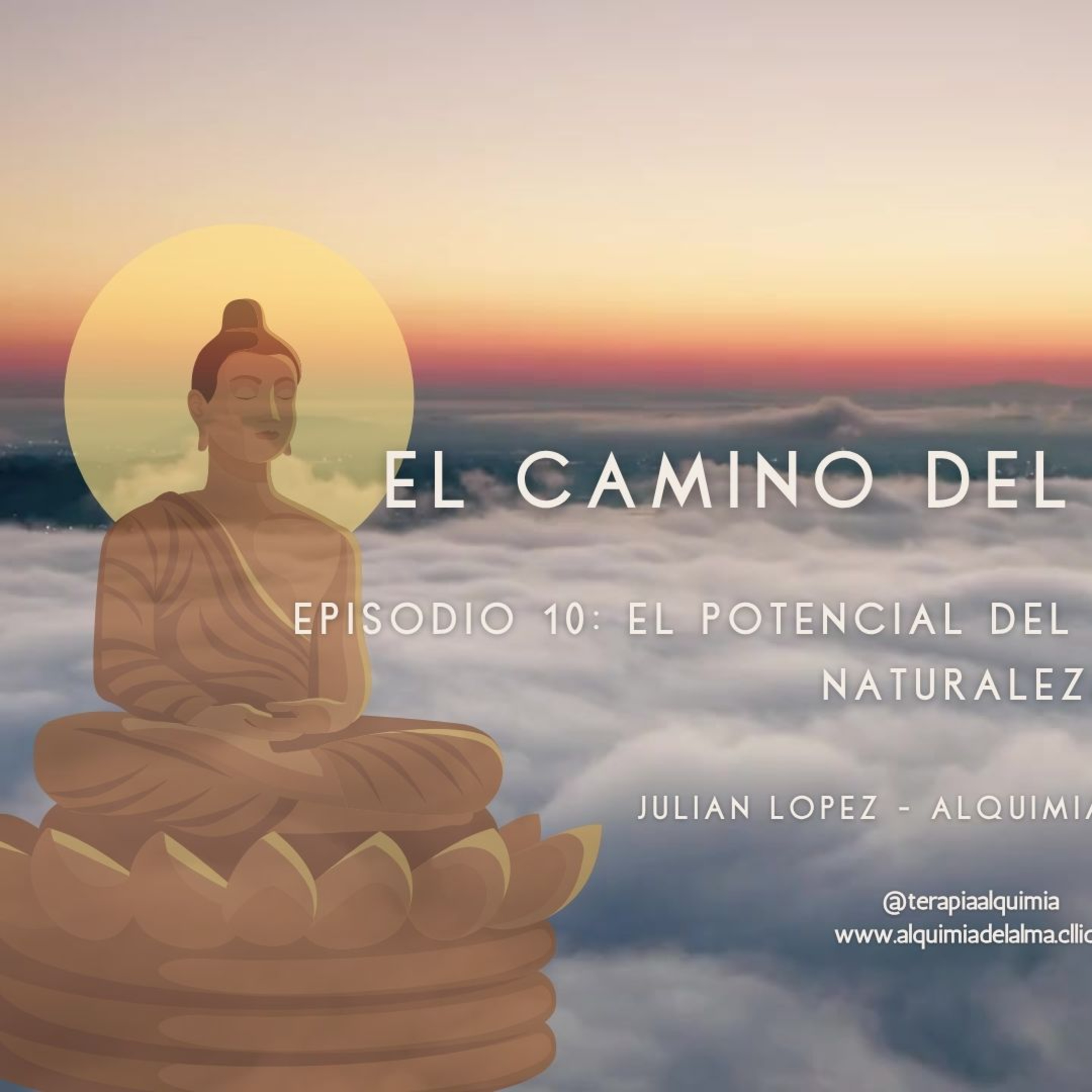 El potencial del loto - Tu verdadera naturaleza