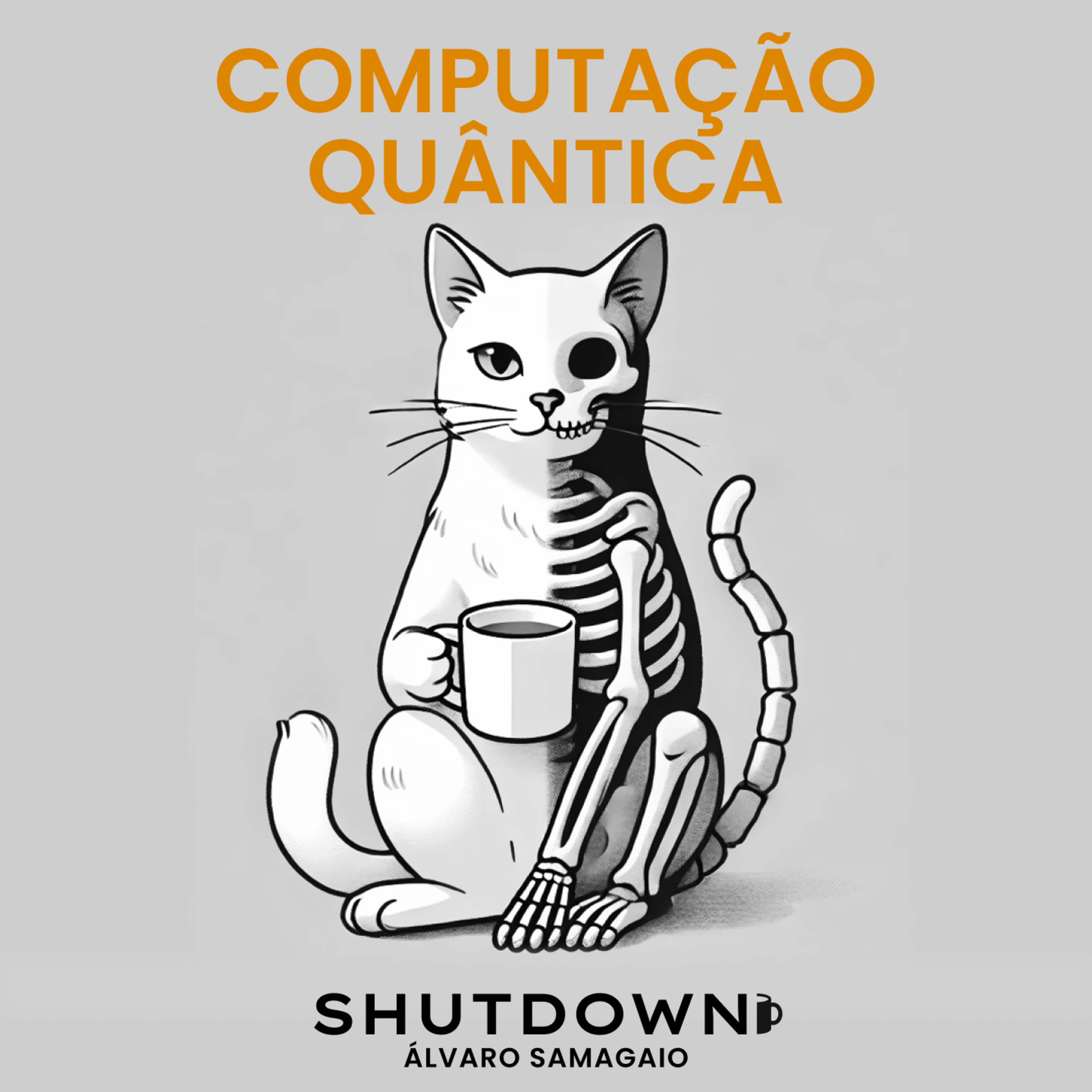 Afinal o que é a computação quântica? com Emmanuel Zambrini Cruzeiro episode artwork