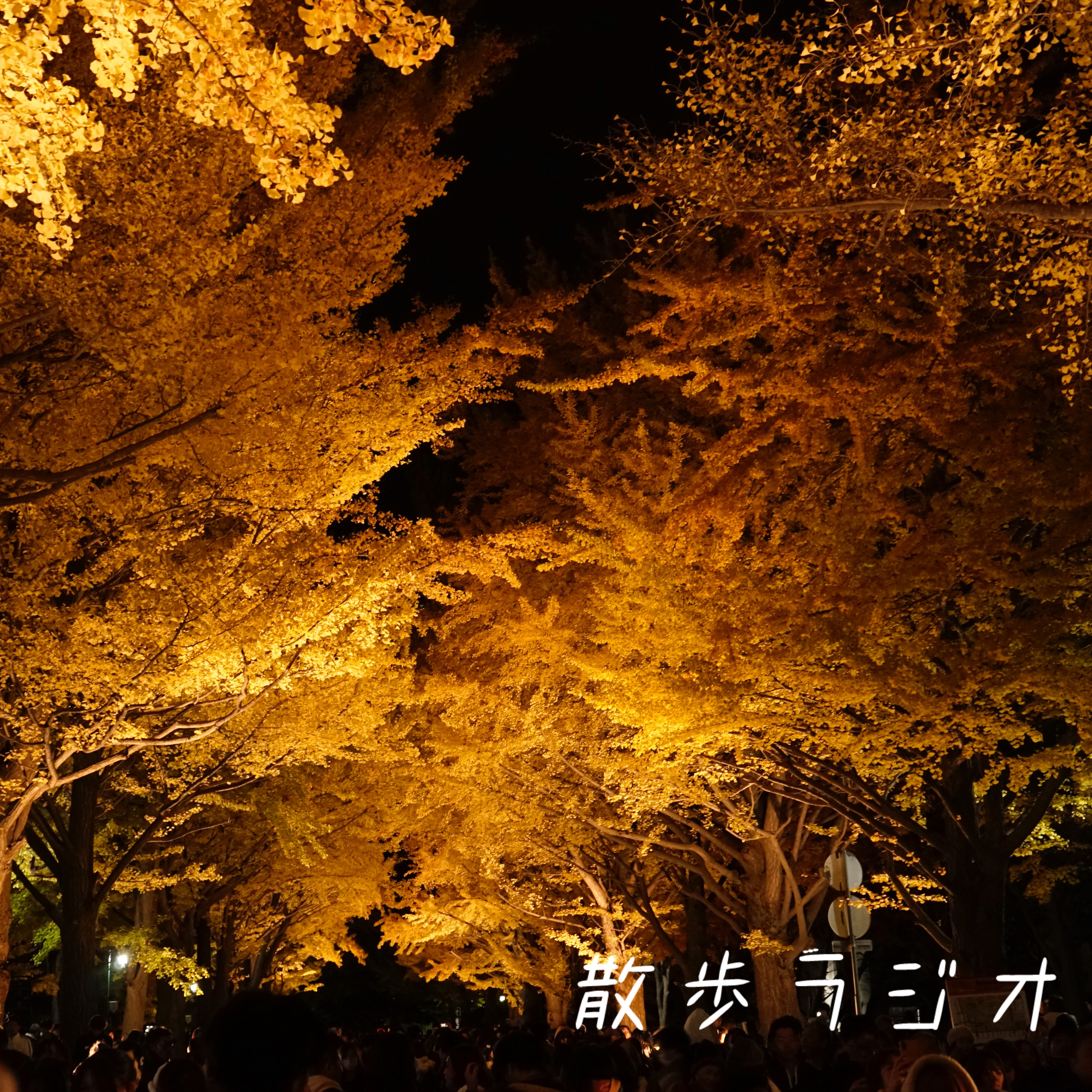 #39 自分を表現できる手段がある人はかっこいい episode artwork