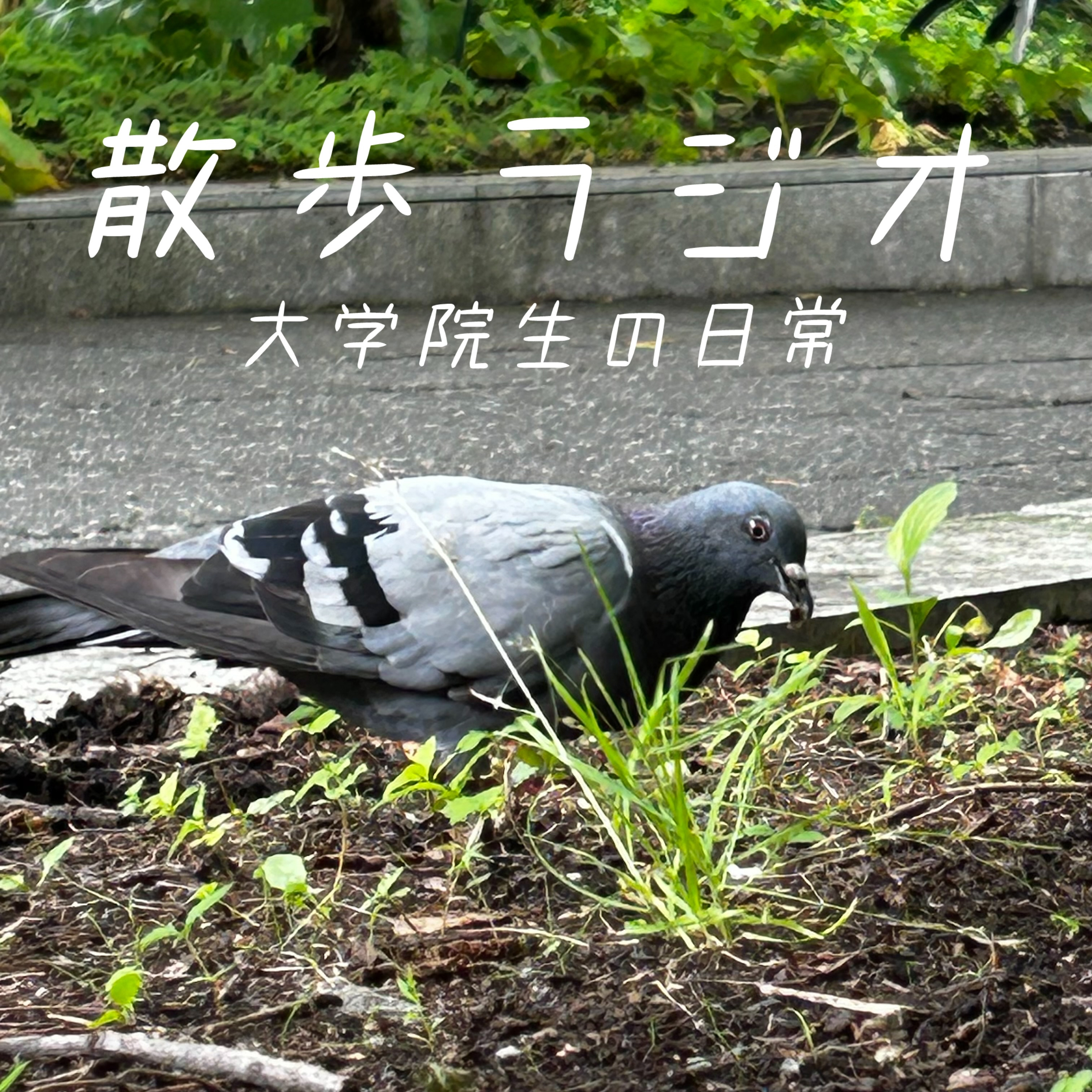 #121 TOMOOさん最新曲「大人になったら」が良すぎて泣いた episode artwork