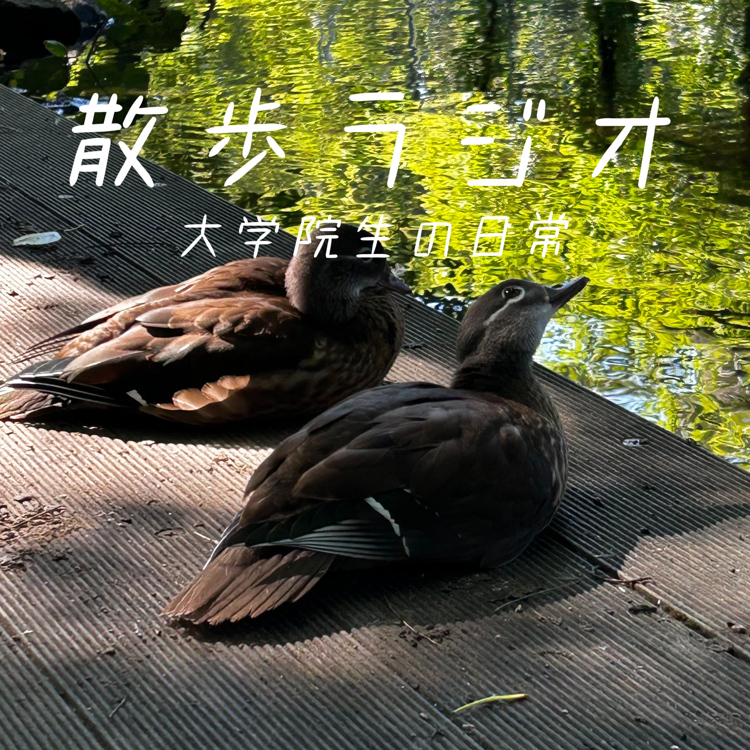 #127 WEBサイトを作り始めました。 episode artwork