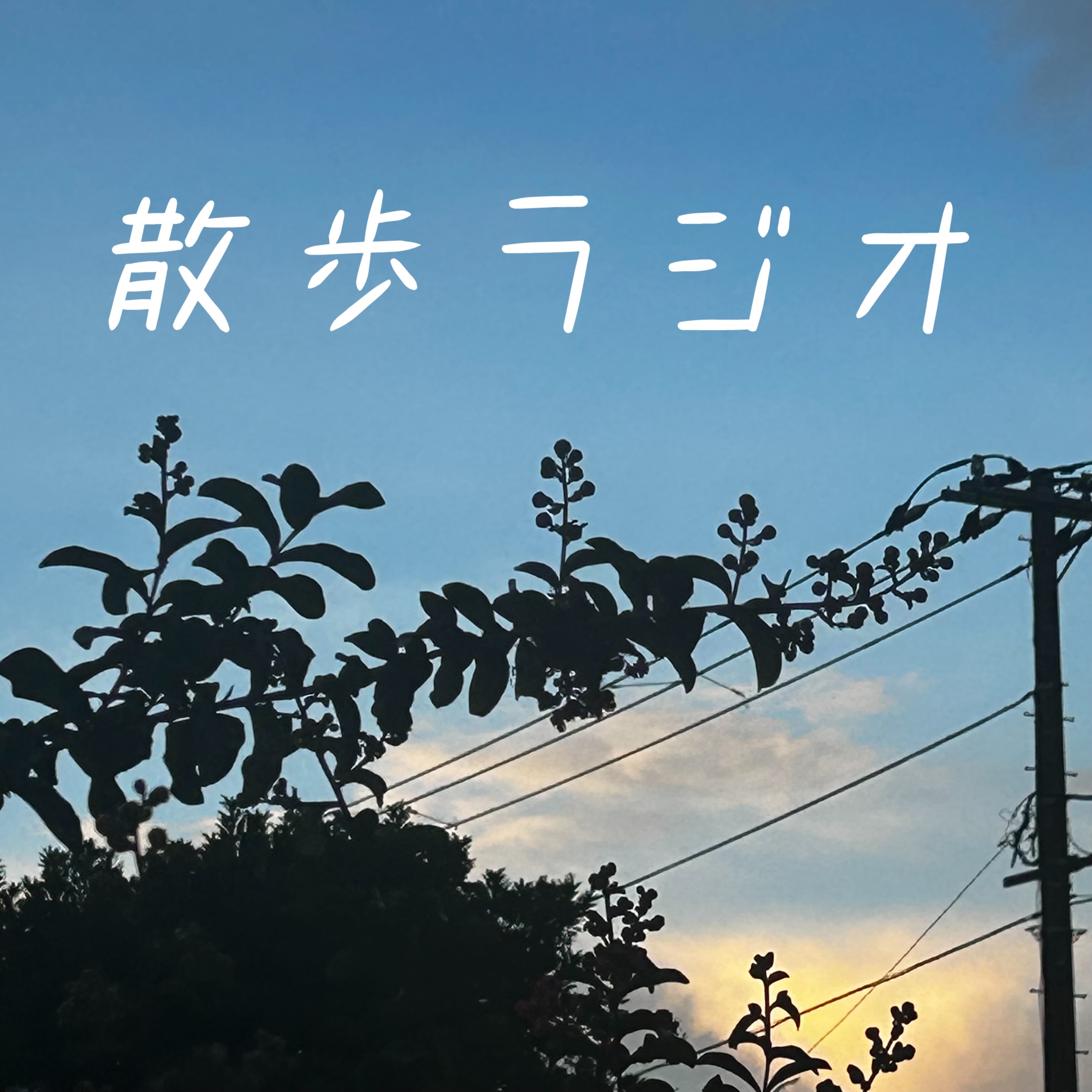 #134 ニュージーランド旅行に向けて意気込みを語る episode artwork