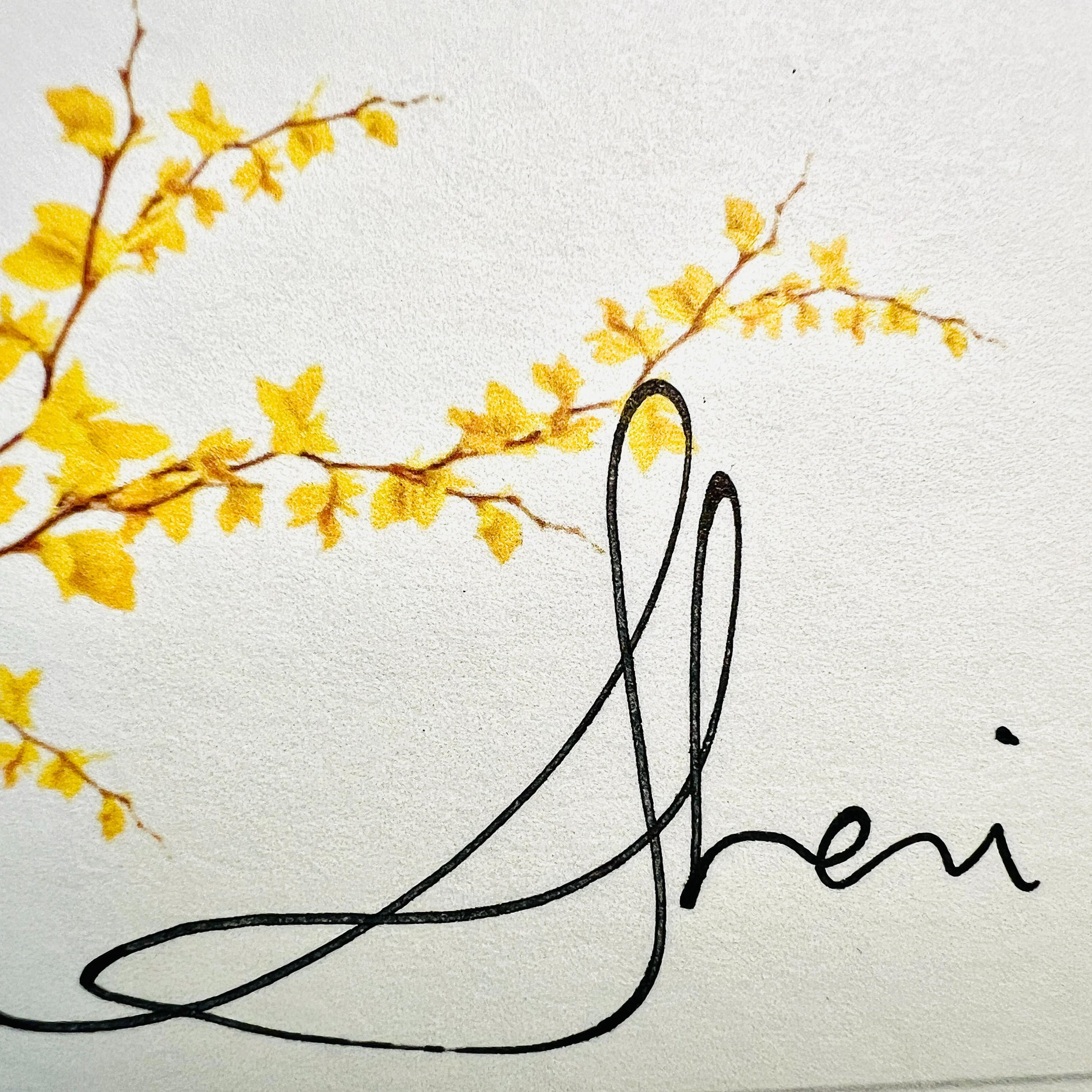 Sharing the gift that's being given to you WITH Sheri Yutzy episode artwork