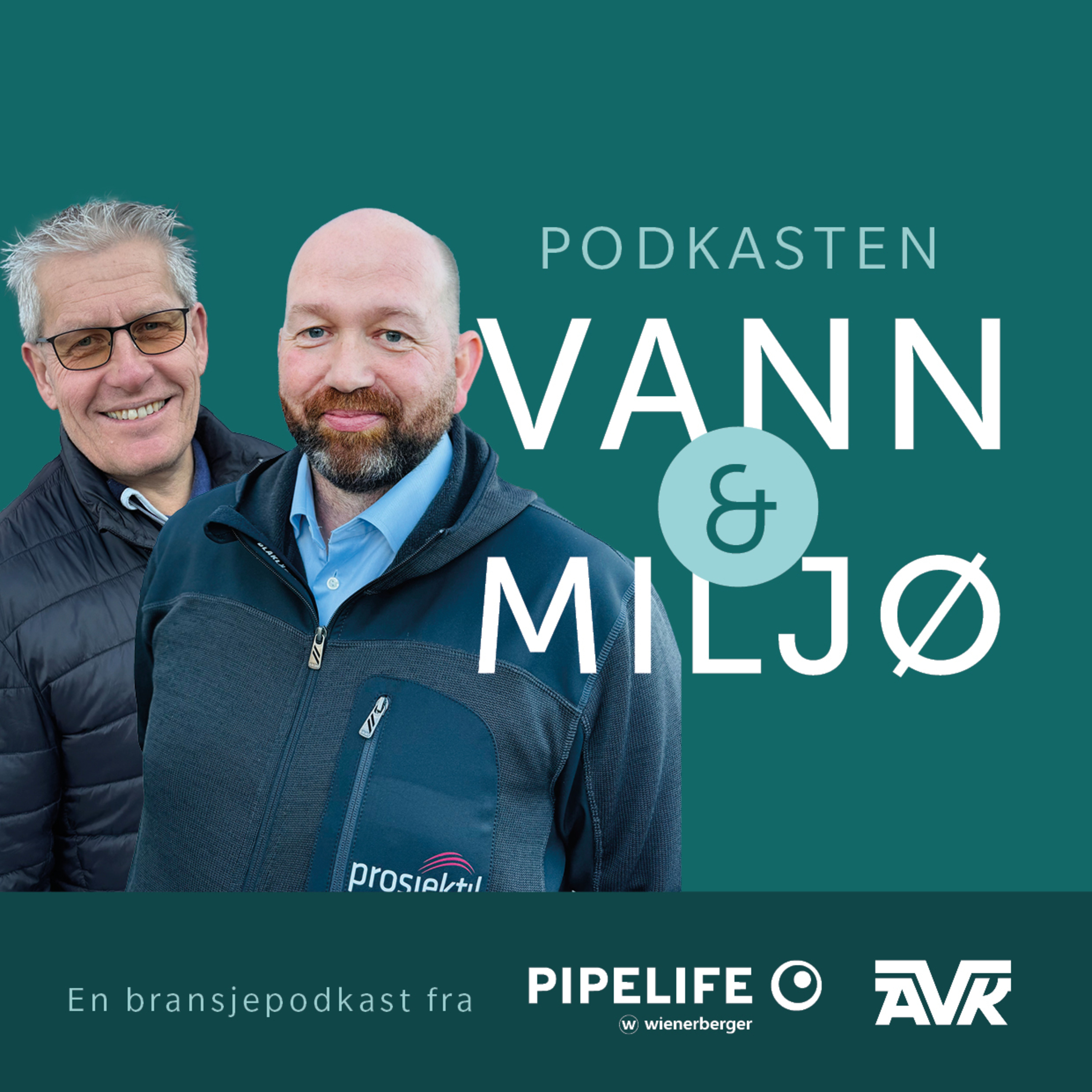 15: Rådgiveren vs Praktikeren episode artwork