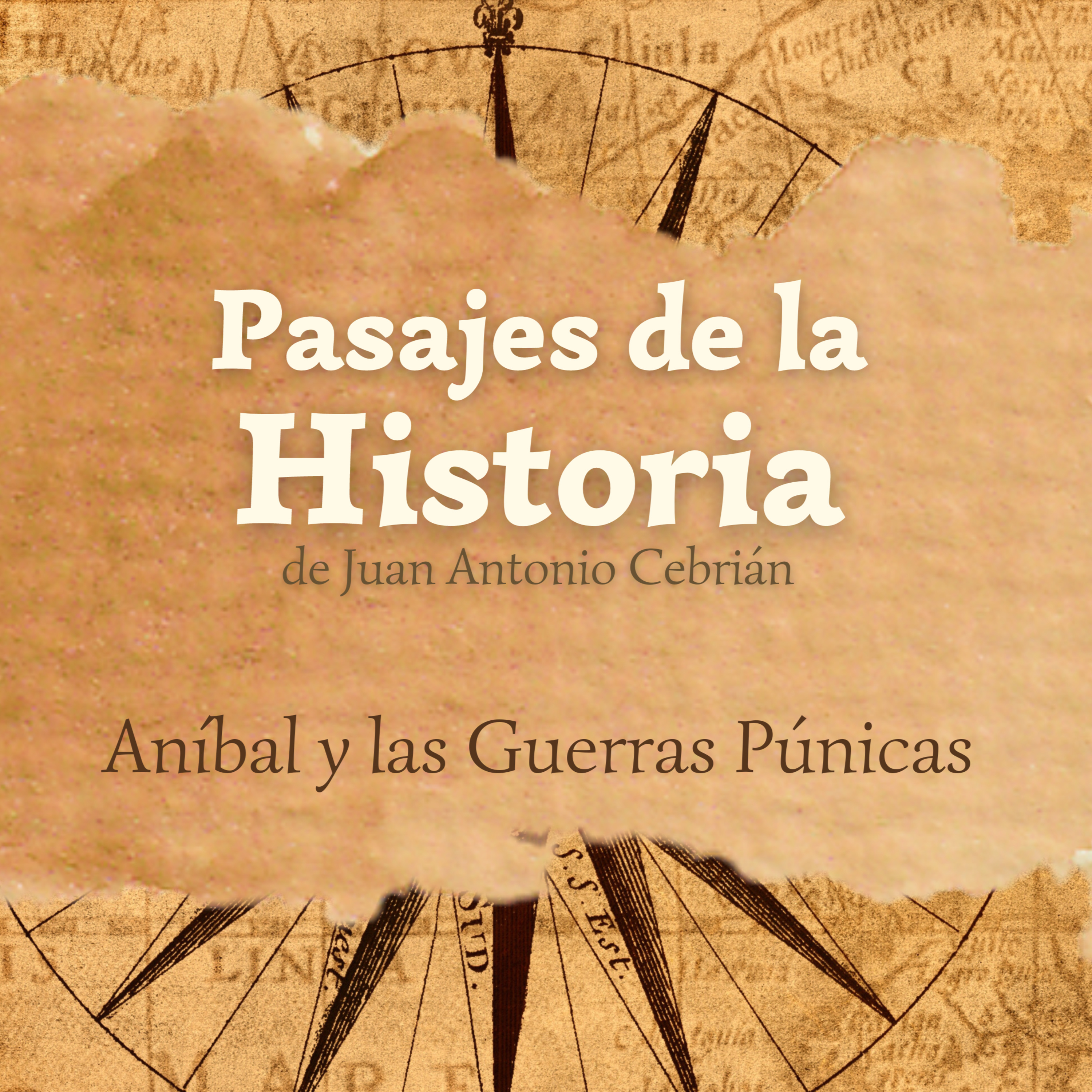Aníbal y las Guerras Púnicas