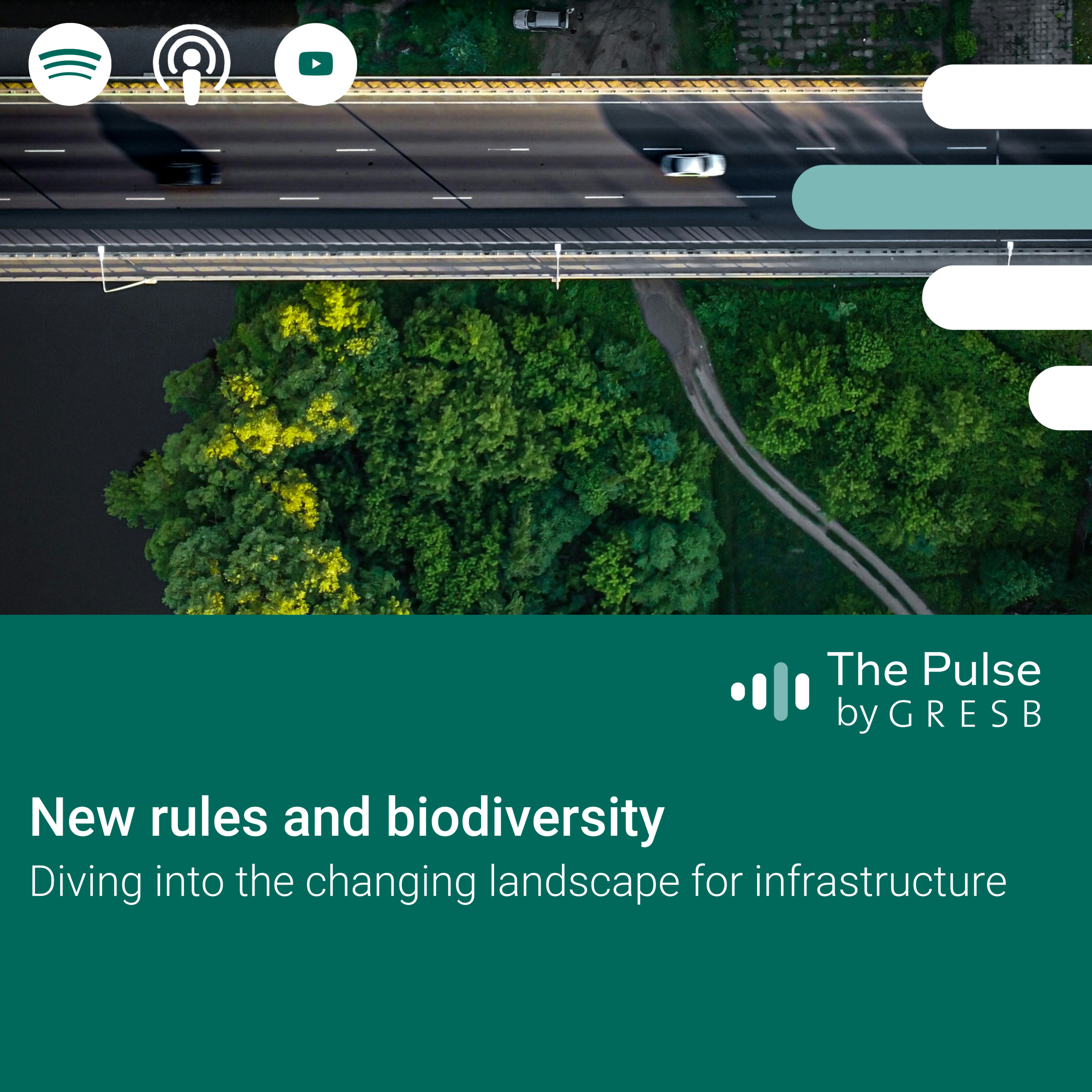 New rules and biodiversity: Diving into the changing landscape for infrastructure
