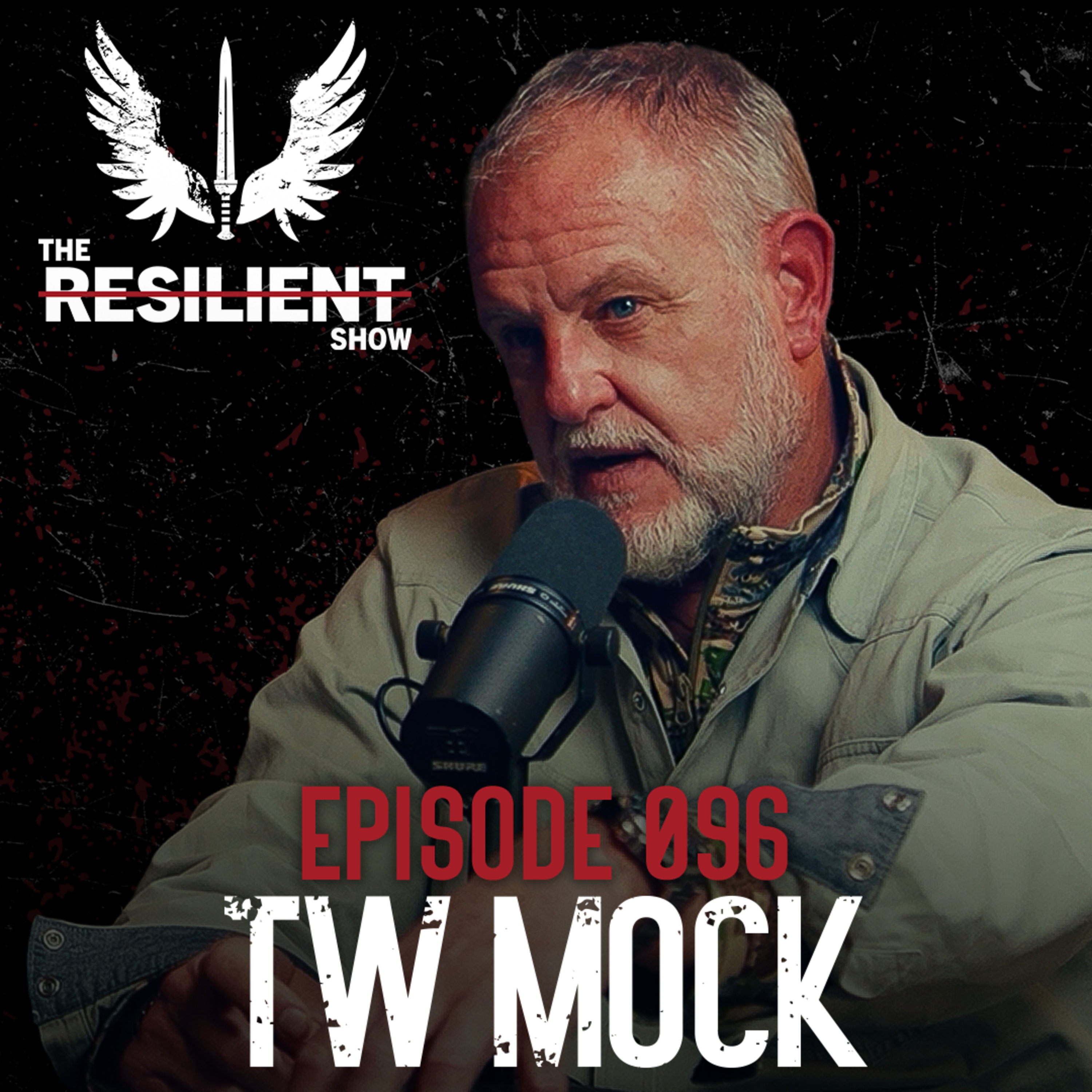 Military Logistics & Private Intelligence: Inside the Global Shadow Economy - TW Mock | TRS 096