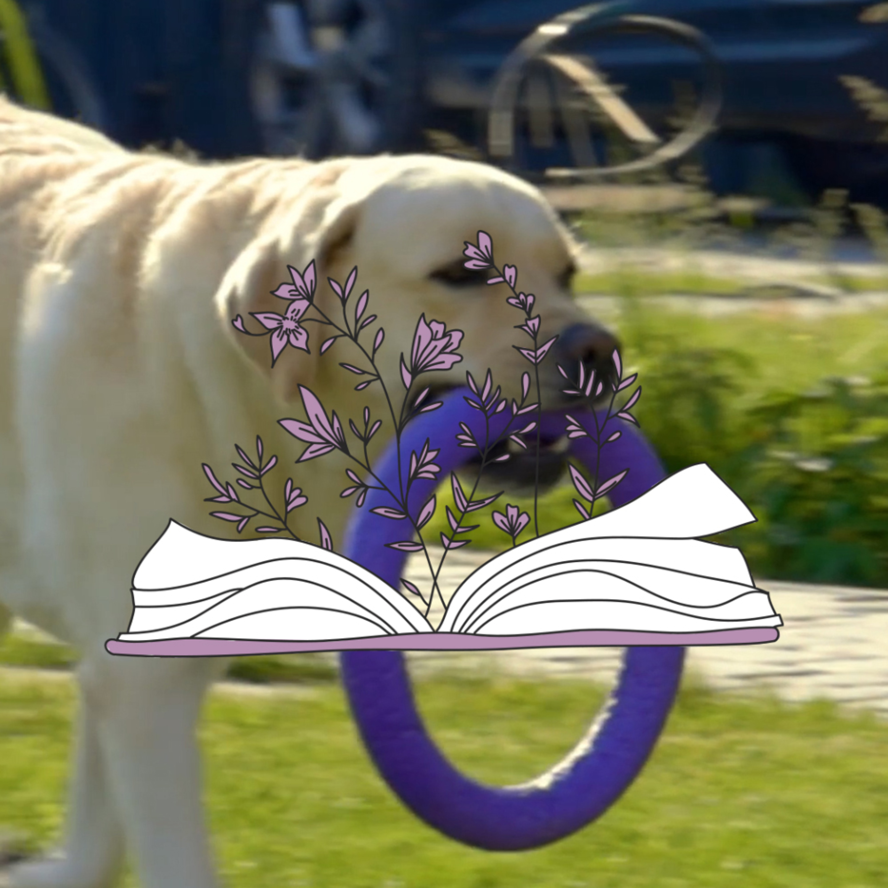 Our fuzzy family member has passed episode artwork
