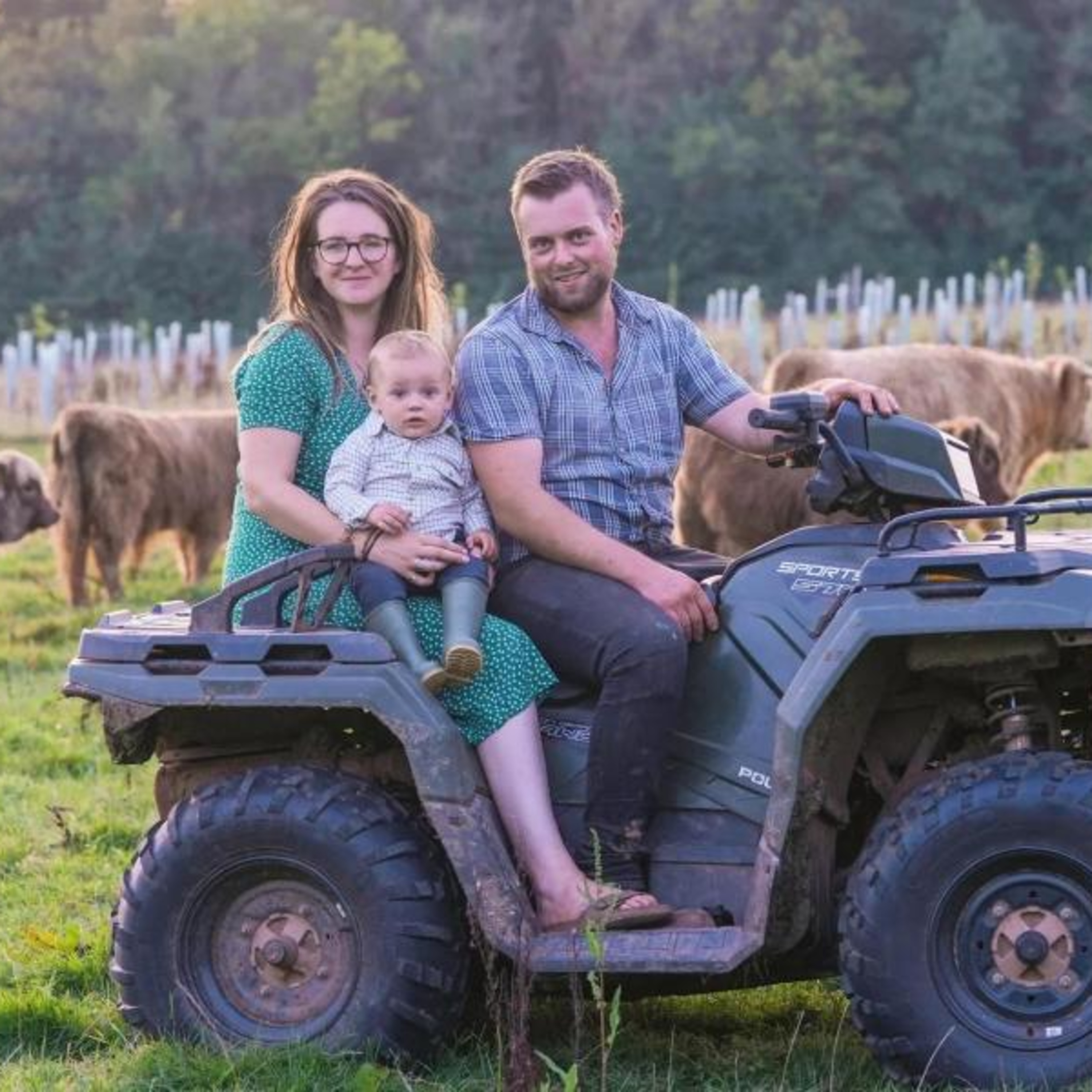 How a Devon farm uses silvopasture and wetland creation to help weather climate extremes