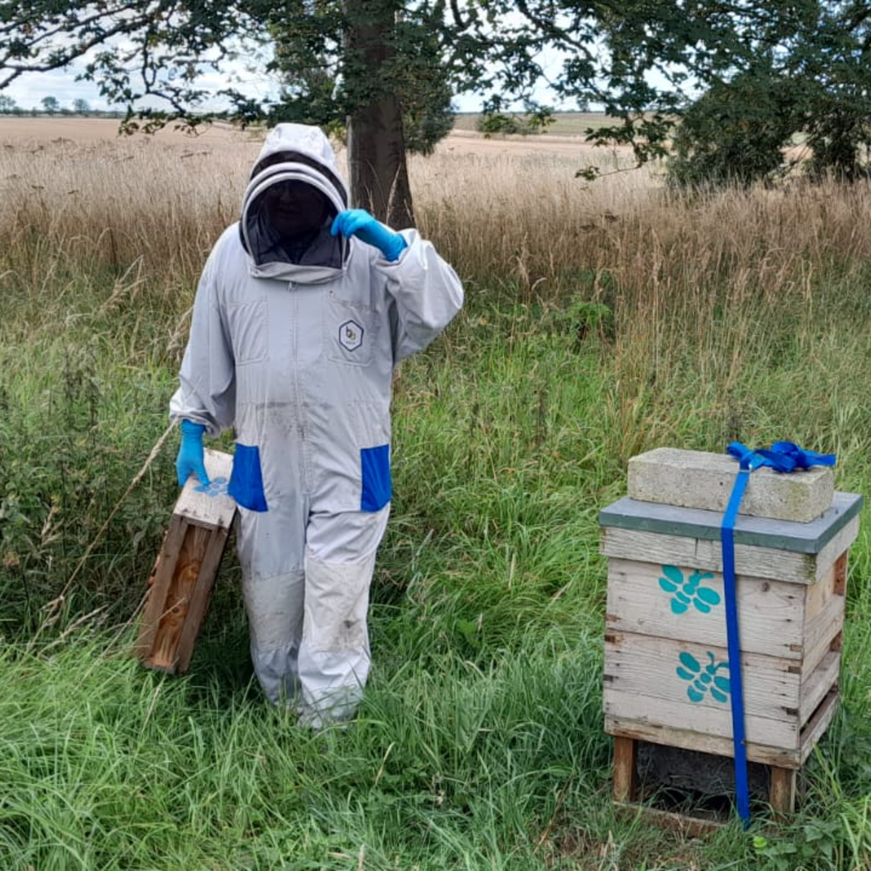How changing weather is putting pressure on Britain’s beekeepers