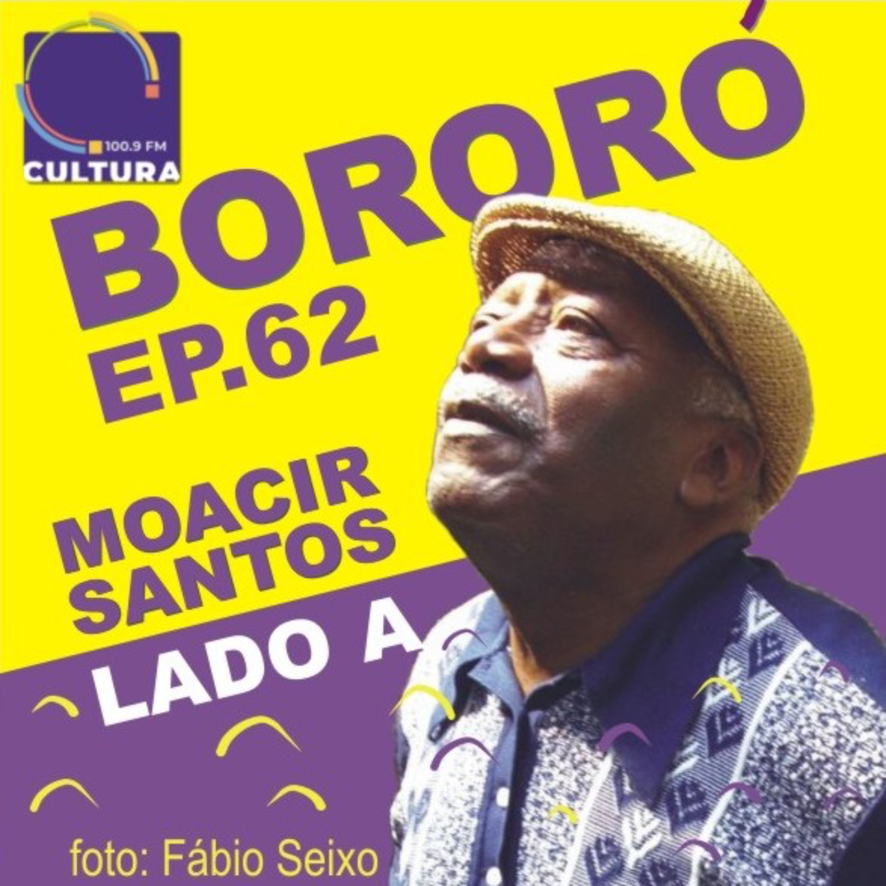 BORORÓ: a música no Brasil do século XX