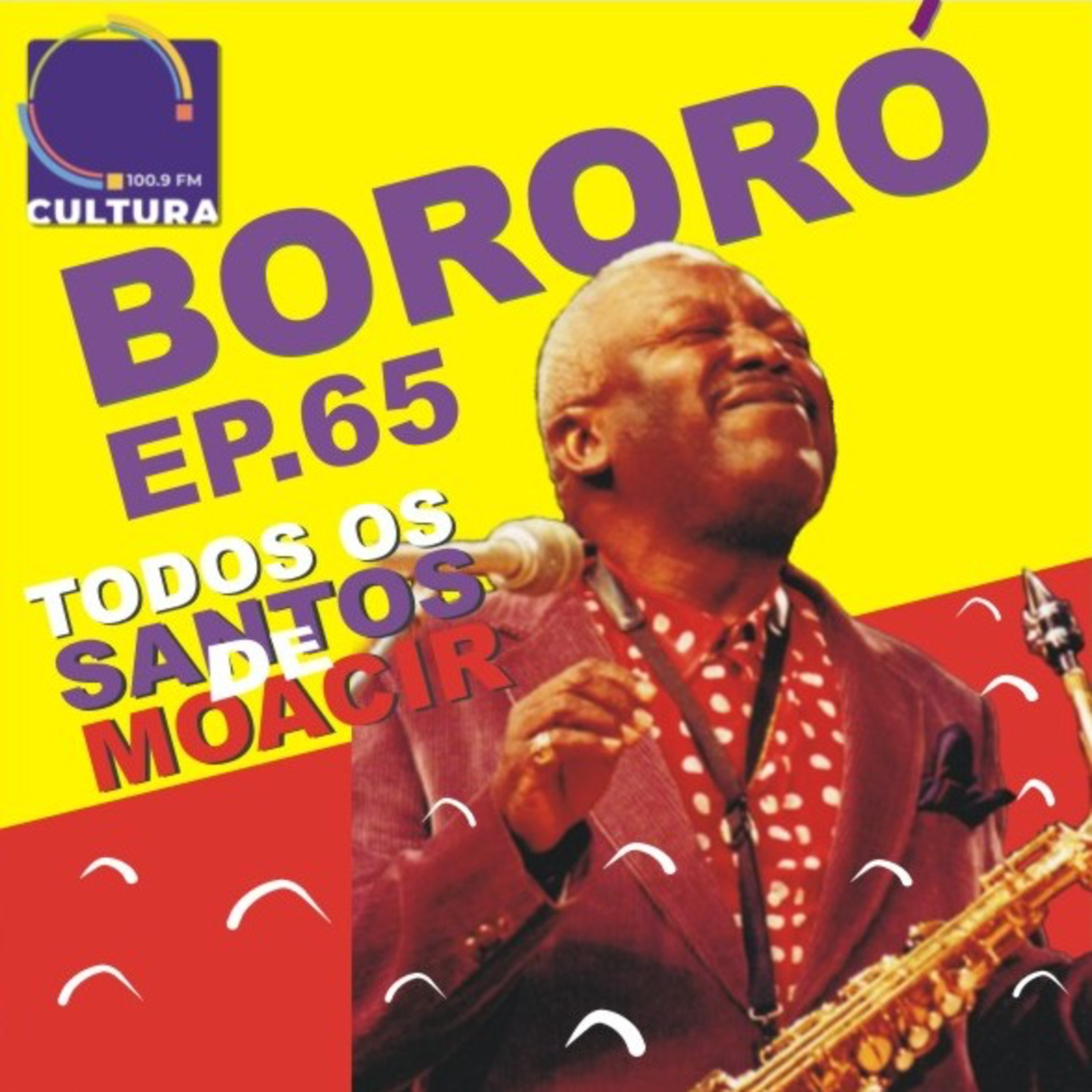 BORORÓ: a música no Brasil do século XX