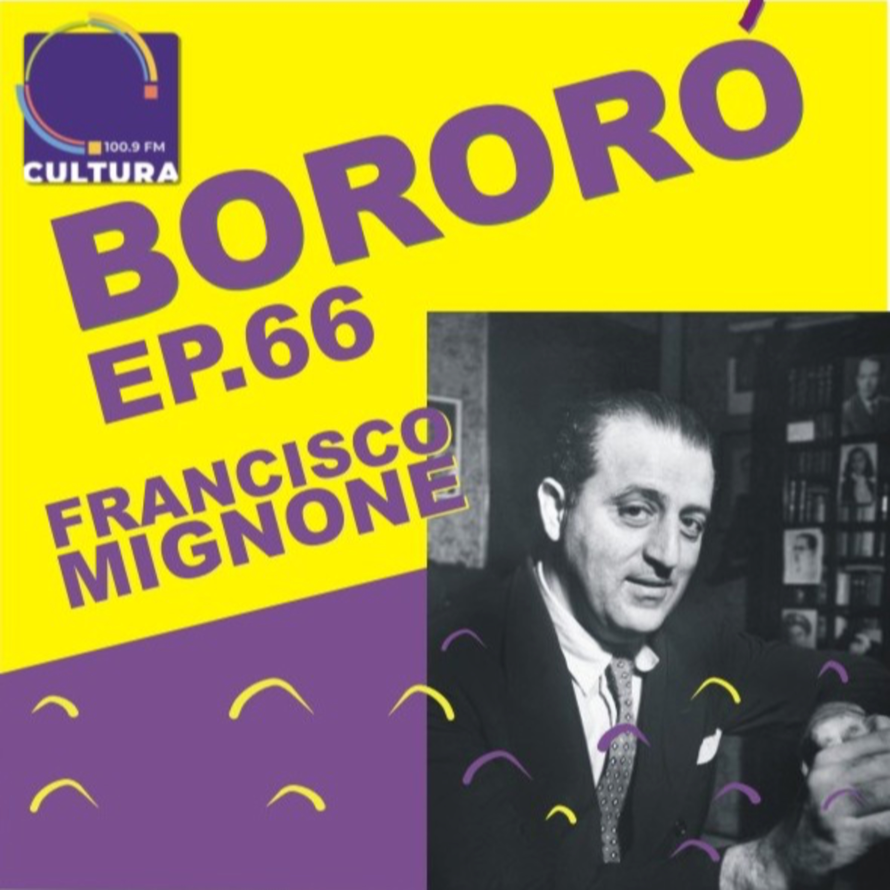 BORORÓ: a música no Brasil do século XX
