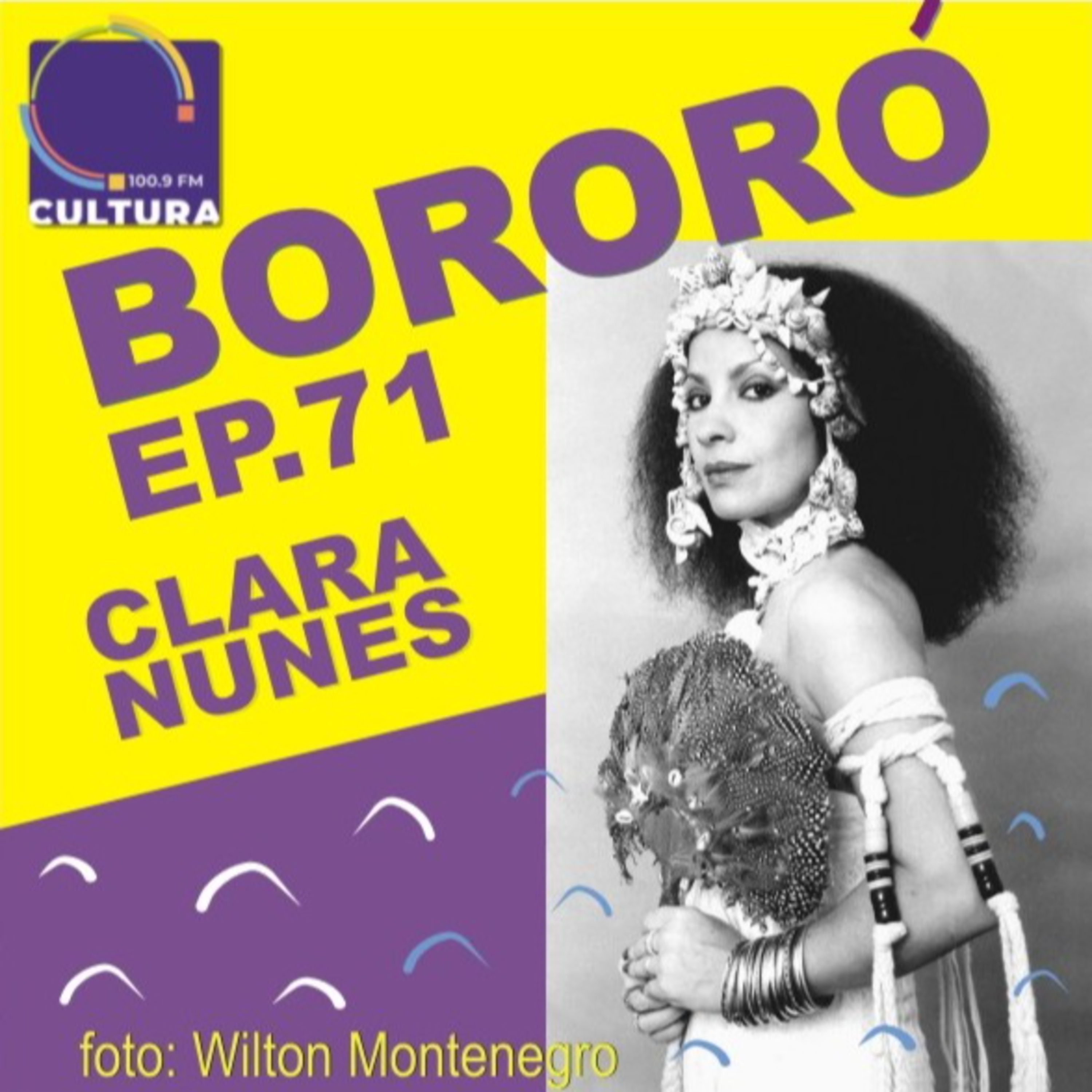 BORORÓ: a música no Brasil do século XX