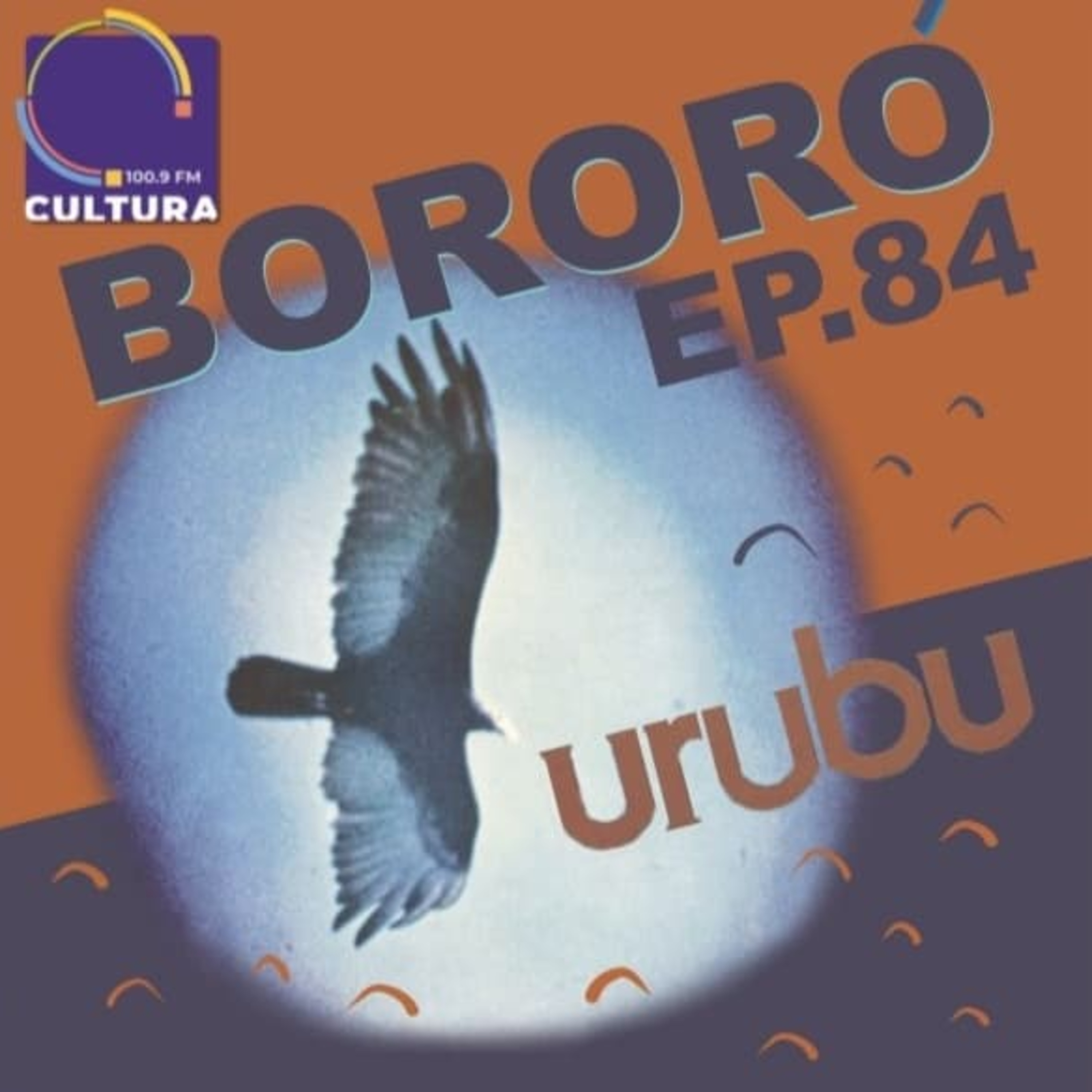 BORORÓ: a música no Brasil do século XX