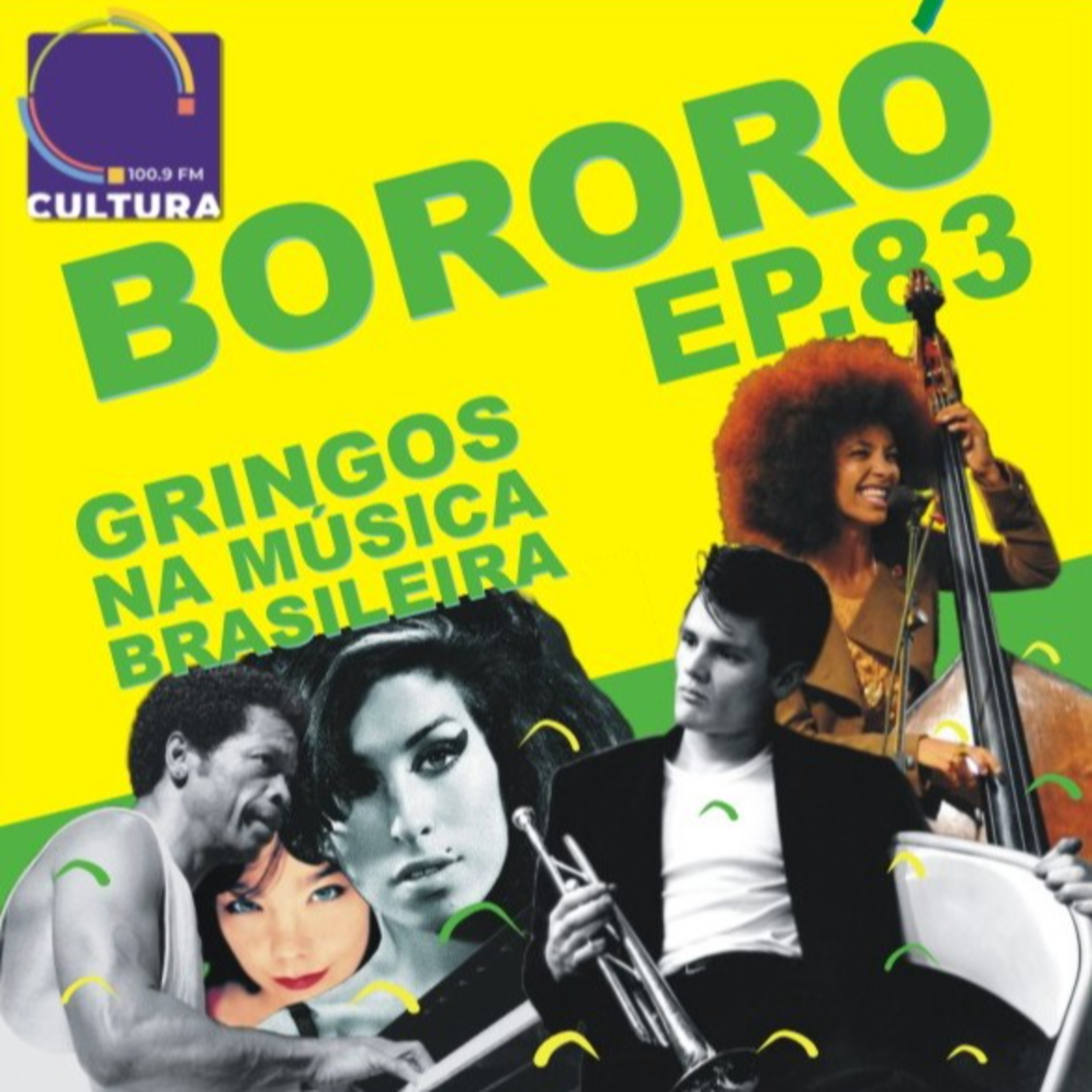 BORORÓ: a música no Brasil do século XX