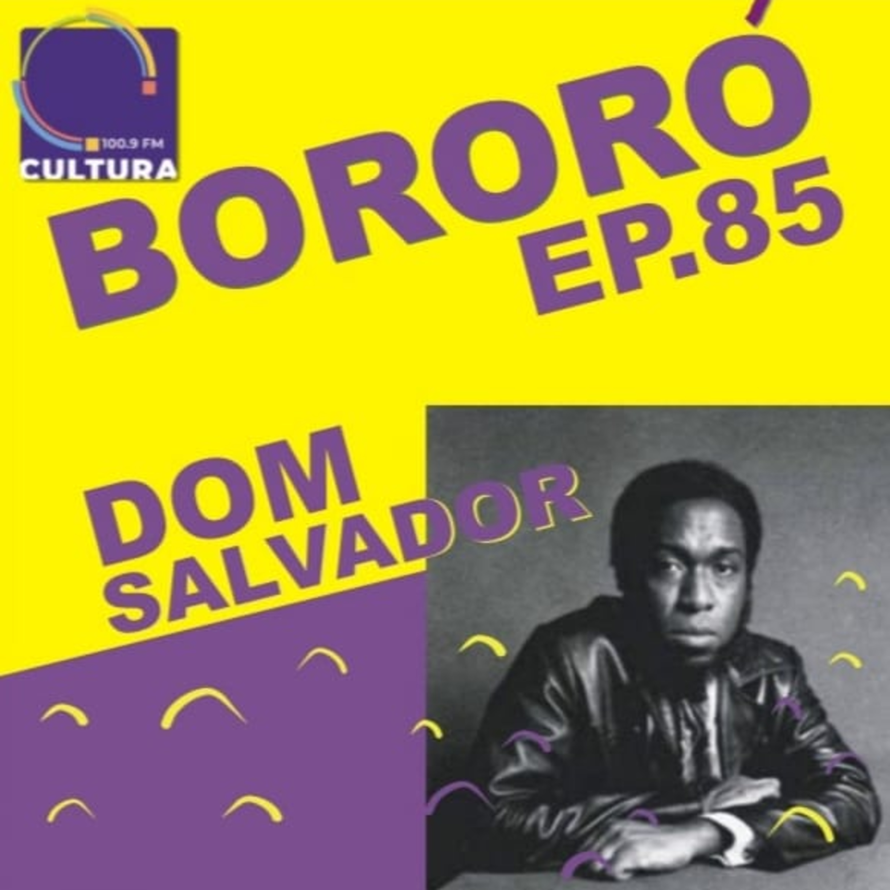 BORORÓ: a música no Brasil do século XX