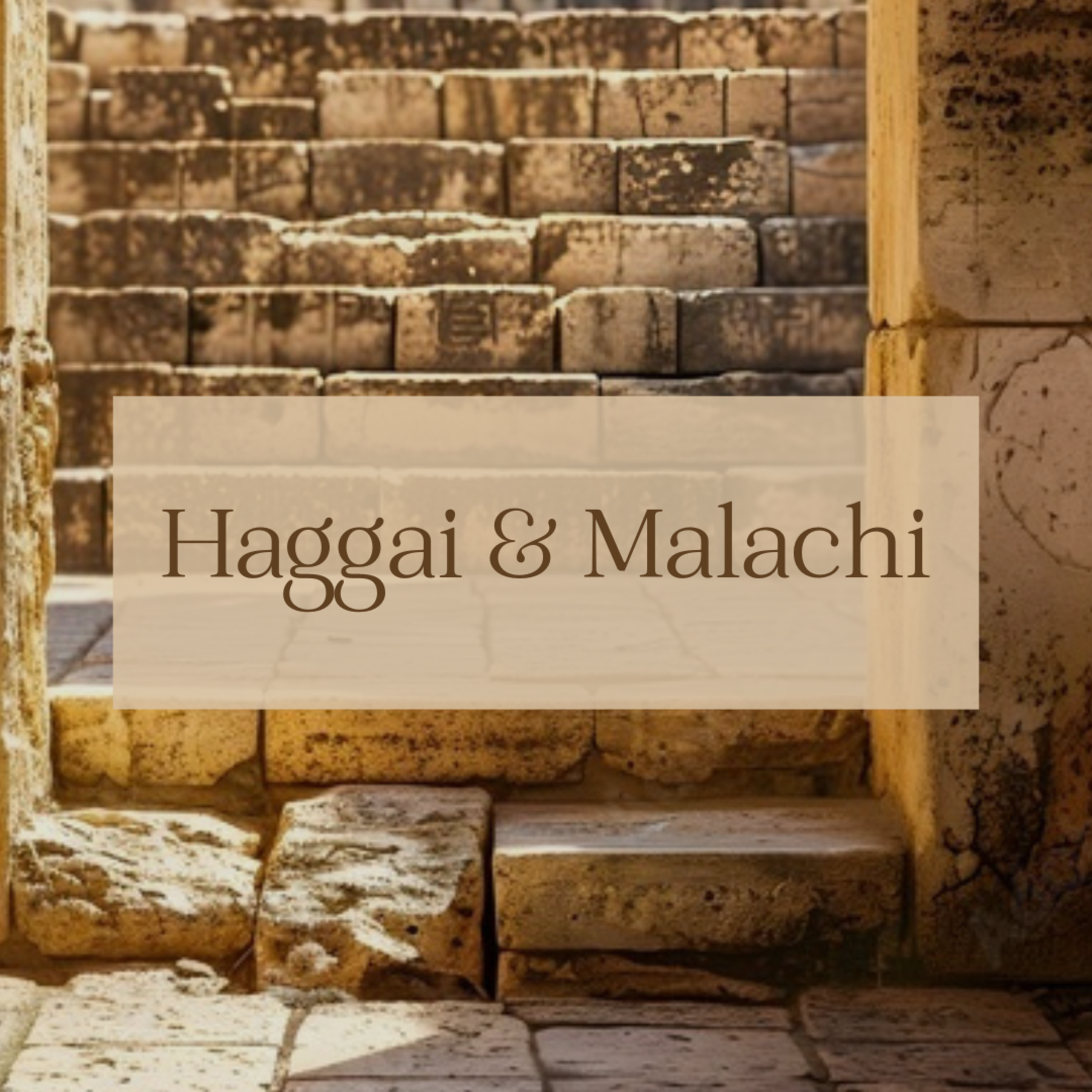 Haggai & Malachi: Malachi ch 1 episode artwork