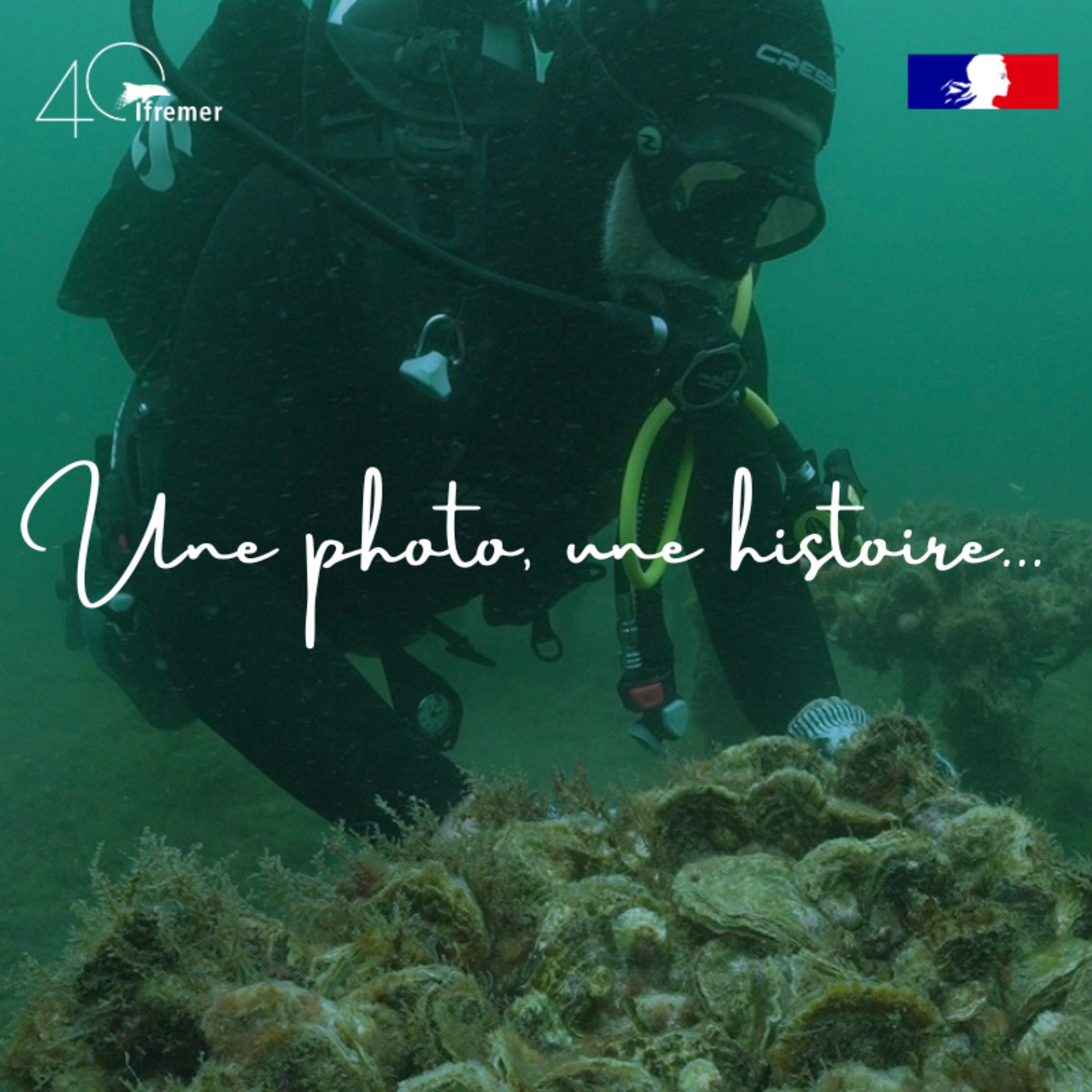 Une photo, une histoire...