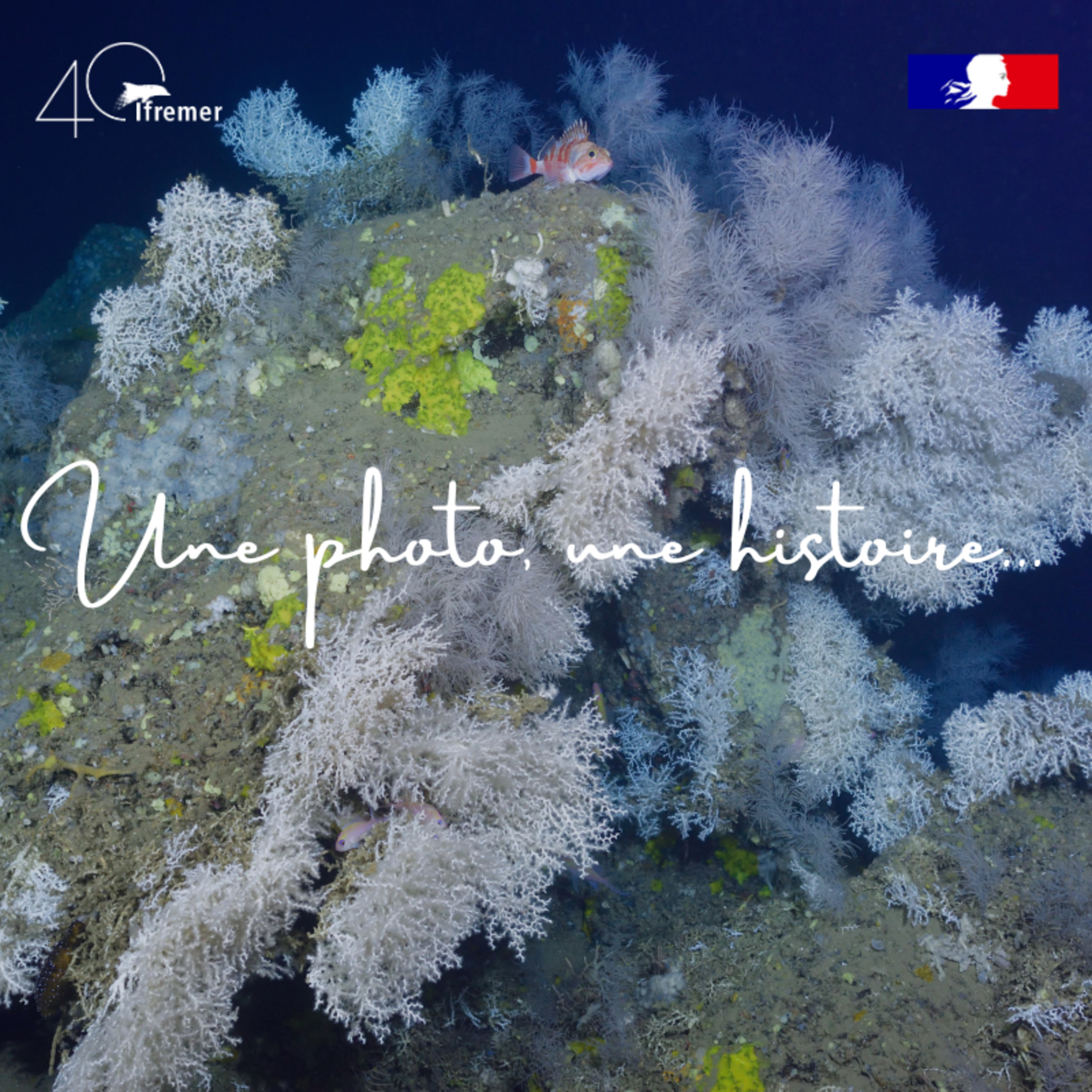 Une photo, une histoire...