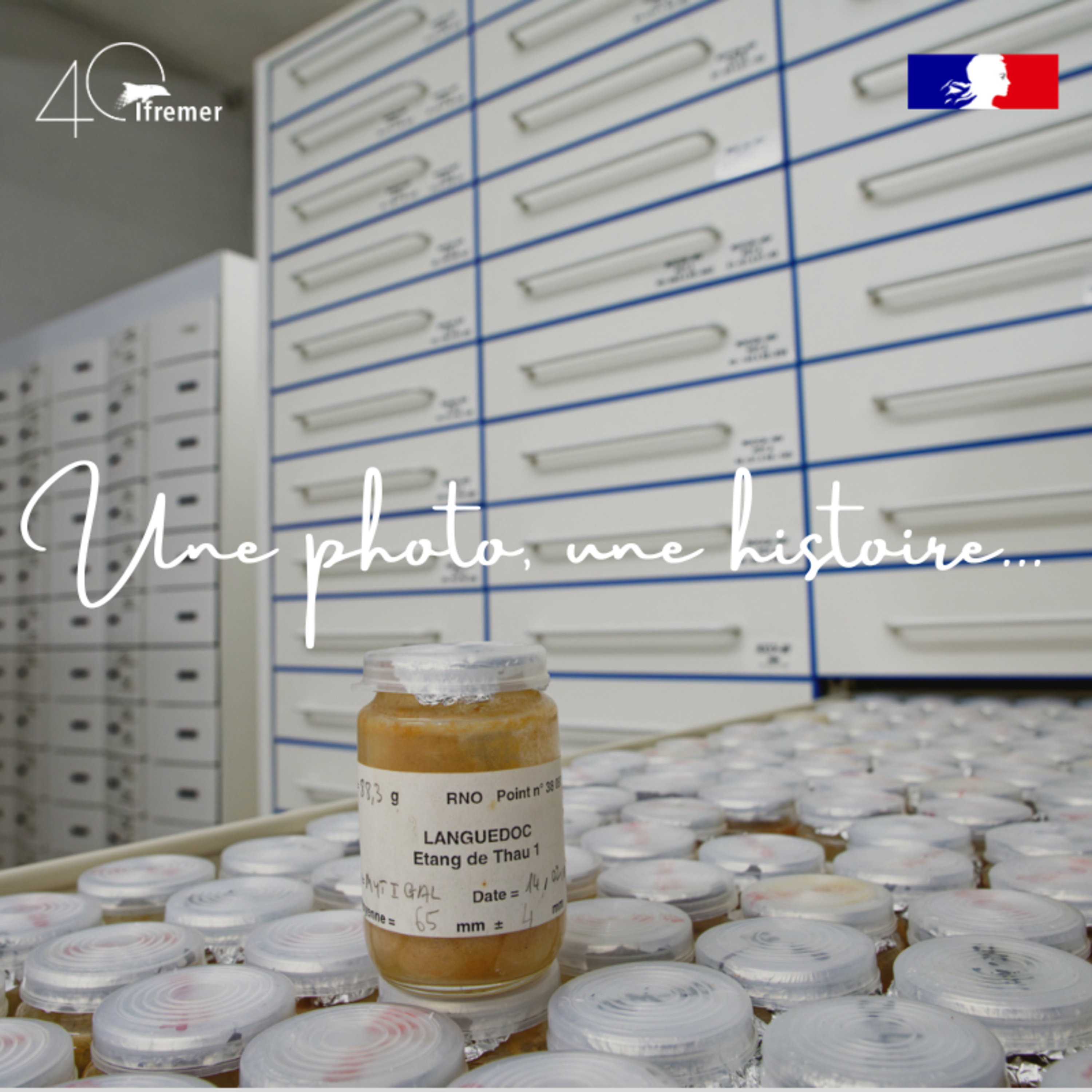 Une photo, une histoire...