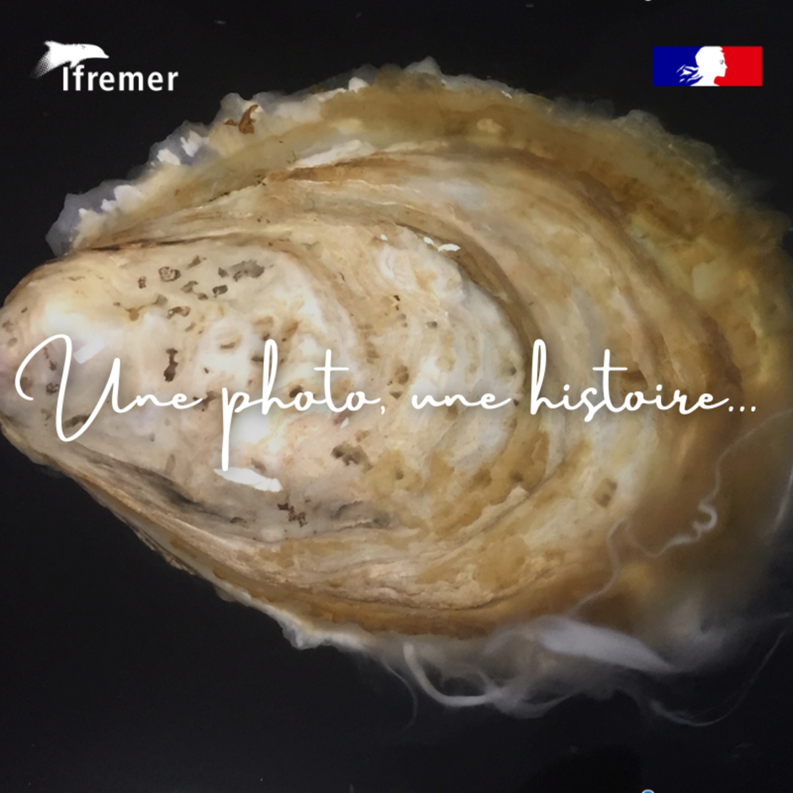 Une photo, une histoire...