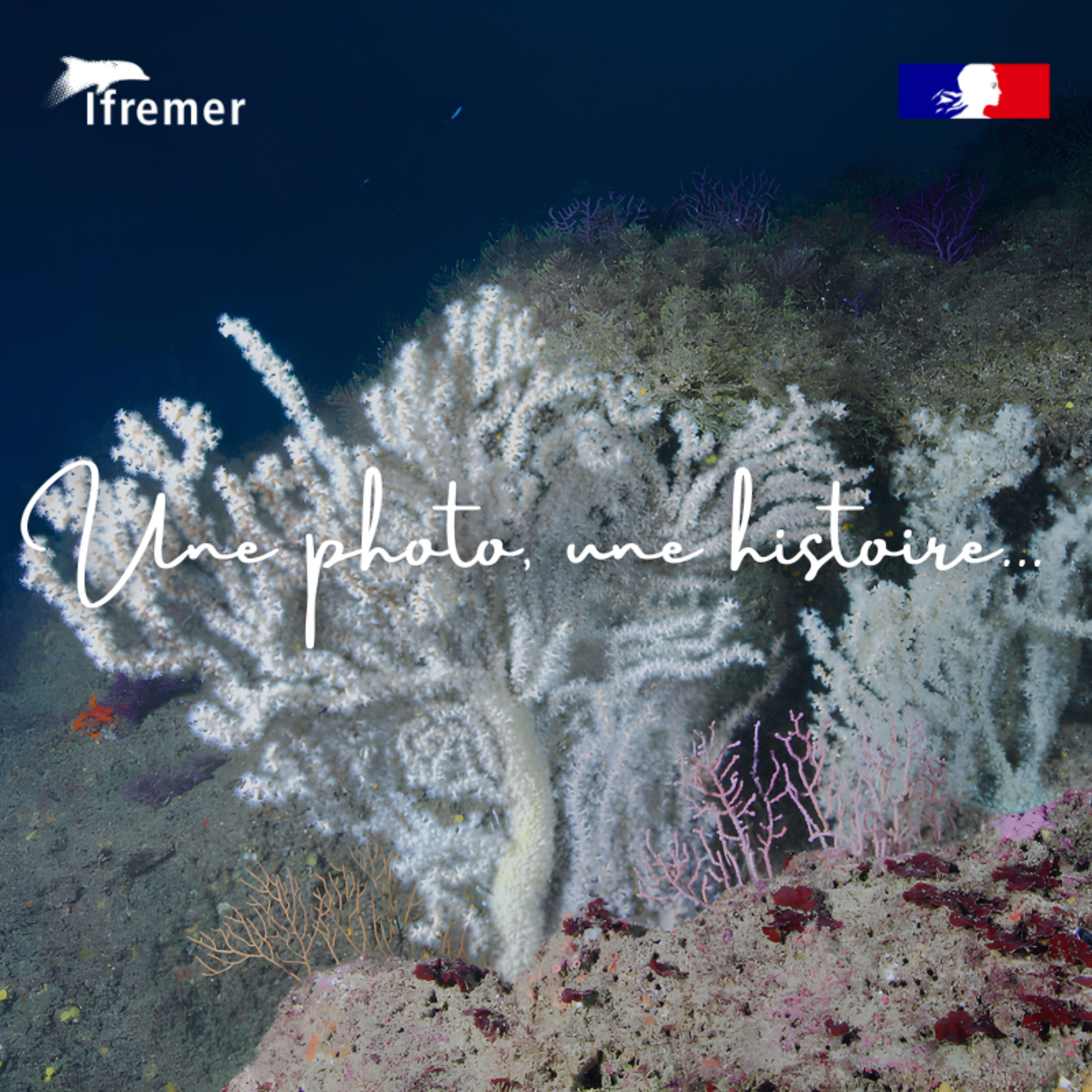 Une photo, une histoire...