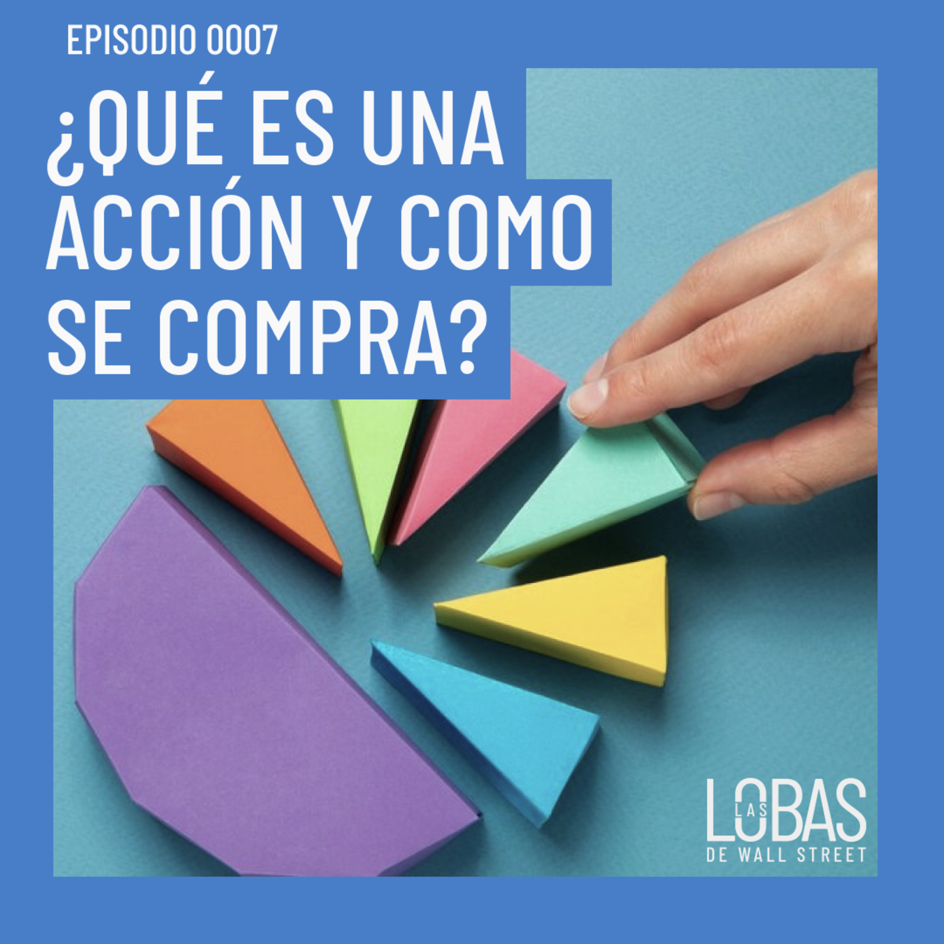 Las lobas de Wall Street