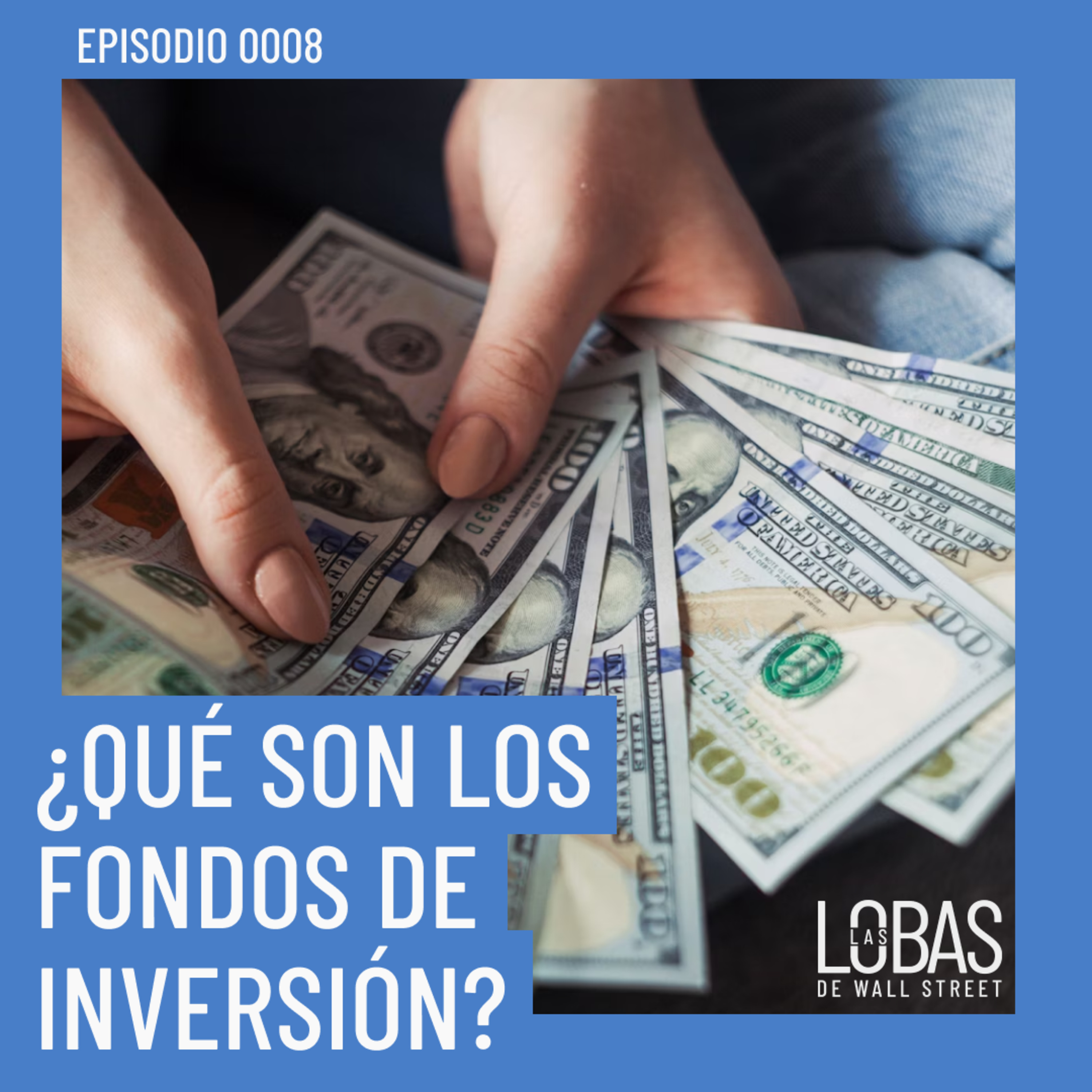Las lobas de Wall Street