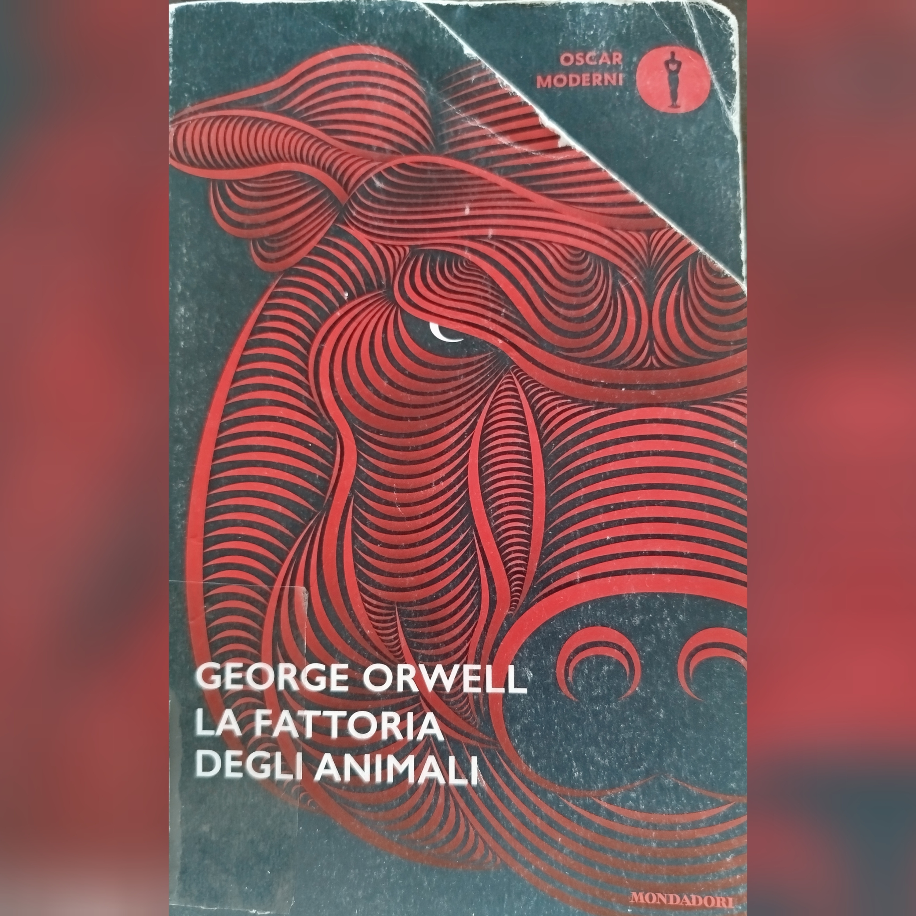 LAISA suggerisce libri da leggere