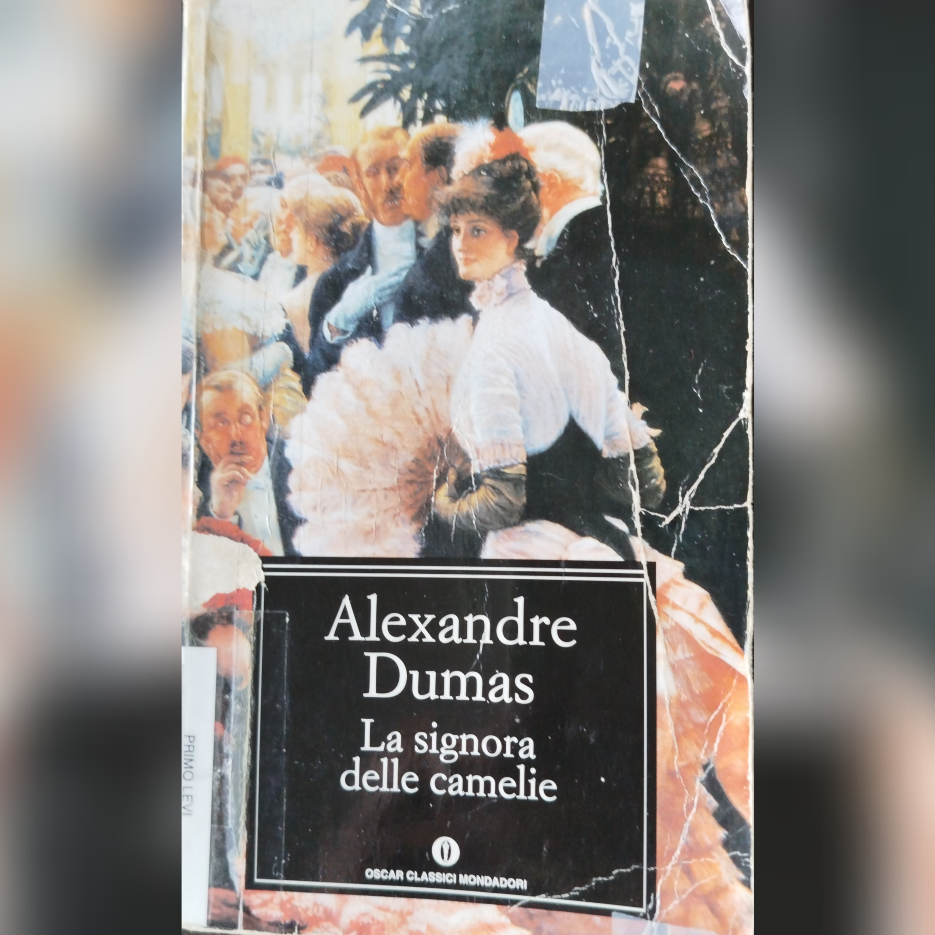 La signora delle camelie di Alexandre Dumas episode artwork