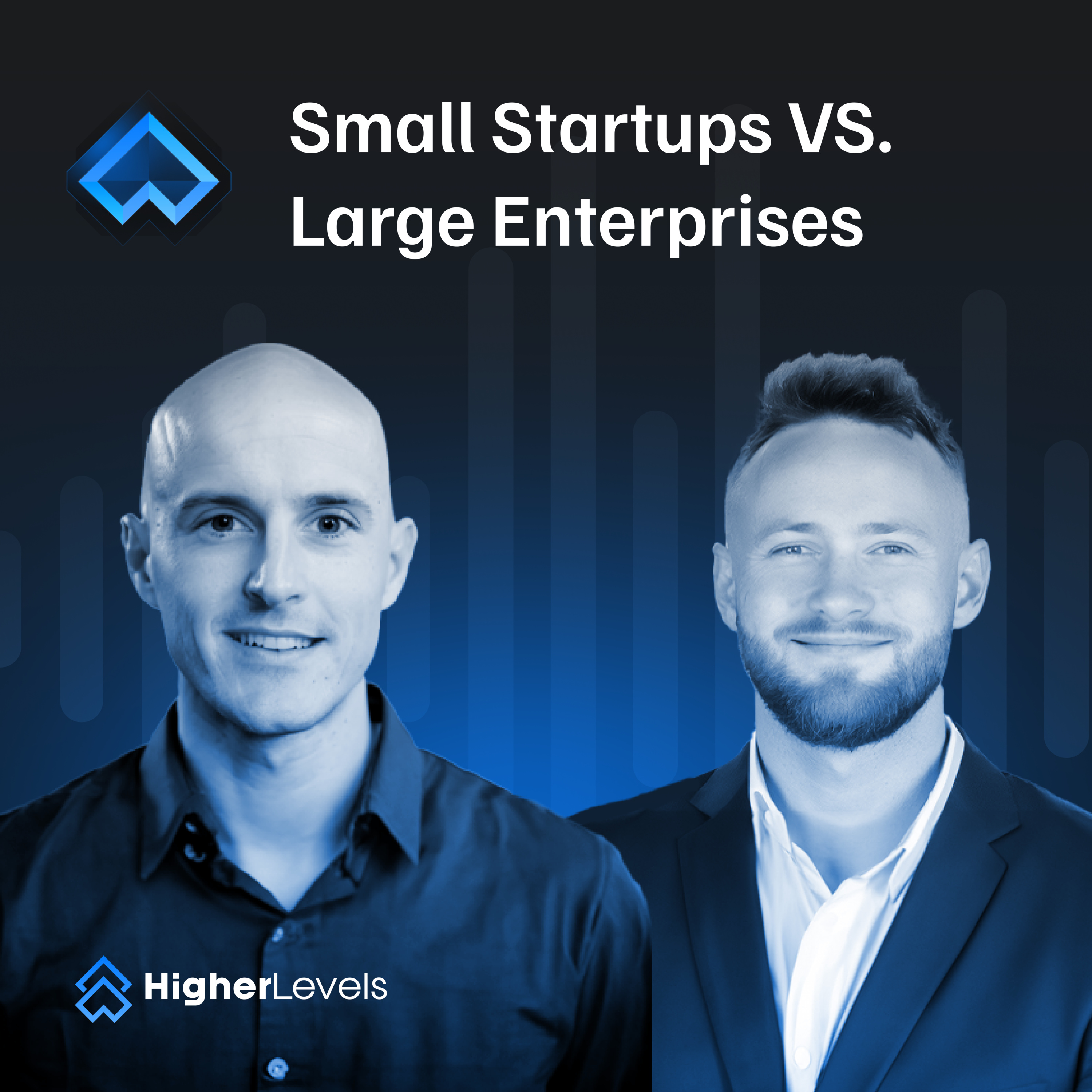 #19 - Small Startups vs Large Enterprises (What's Best?) episode artwork