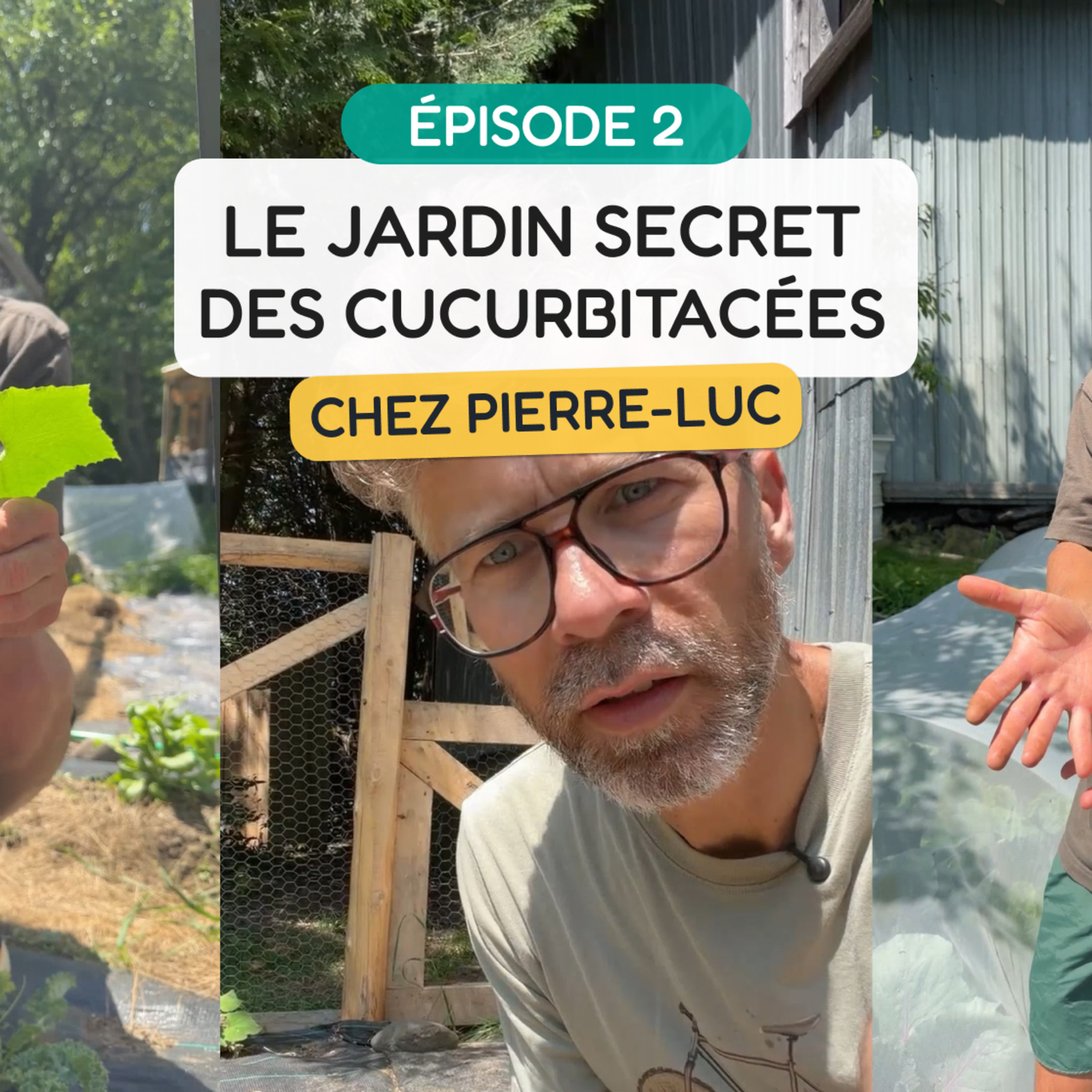 Le jardin secret des cucurbitacées - MINI-SÉRIE - Épisode 2