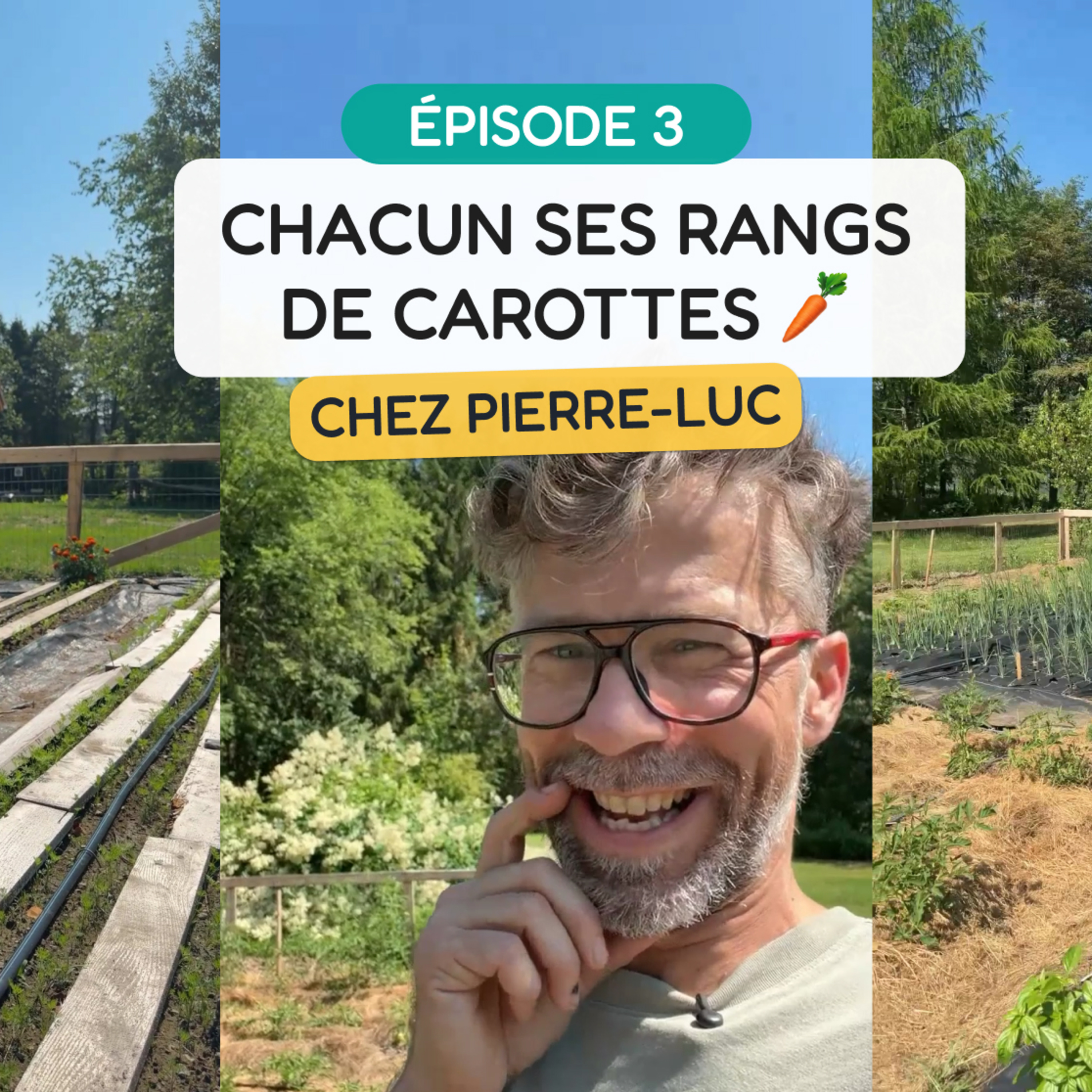Chacun ses rangs de carottes 🥕 - MINI-SÉRIE - ÉPISODE 3