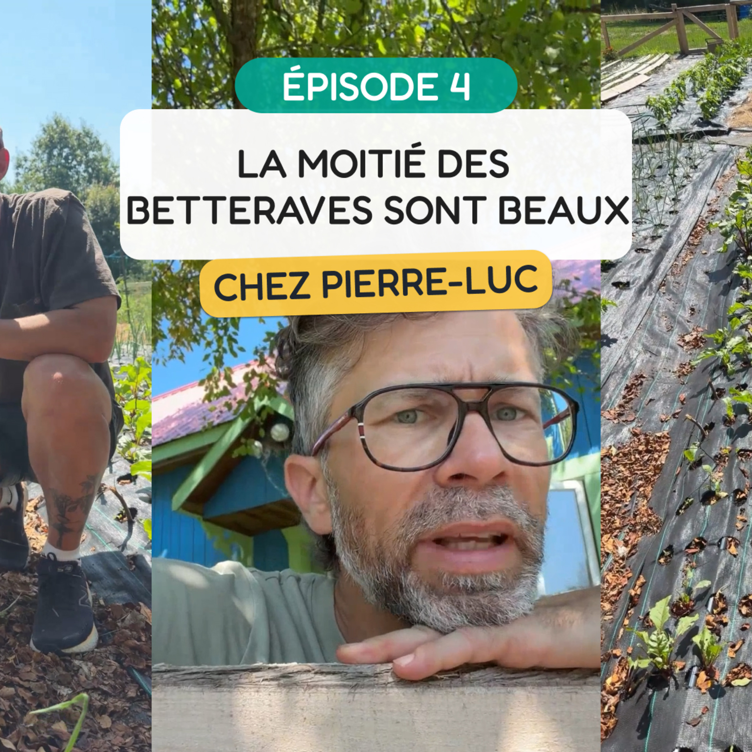 La moitié des betteraves sont beaux - MINI-SÉRIE - ÉPISODE 4