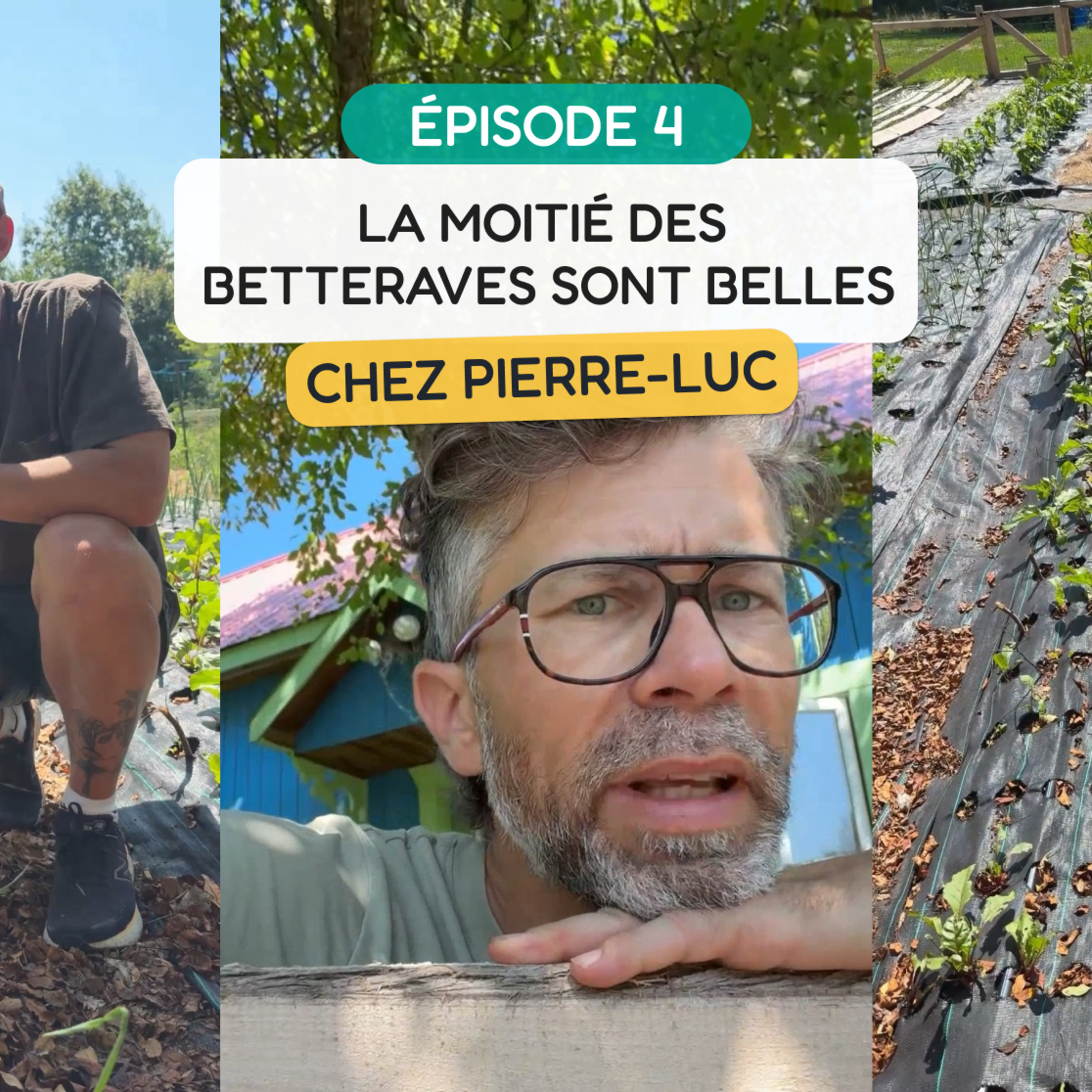 La moitié des betteraves sont belles - MINI-SÉRIE - ÉPISODE 4 episode artwork