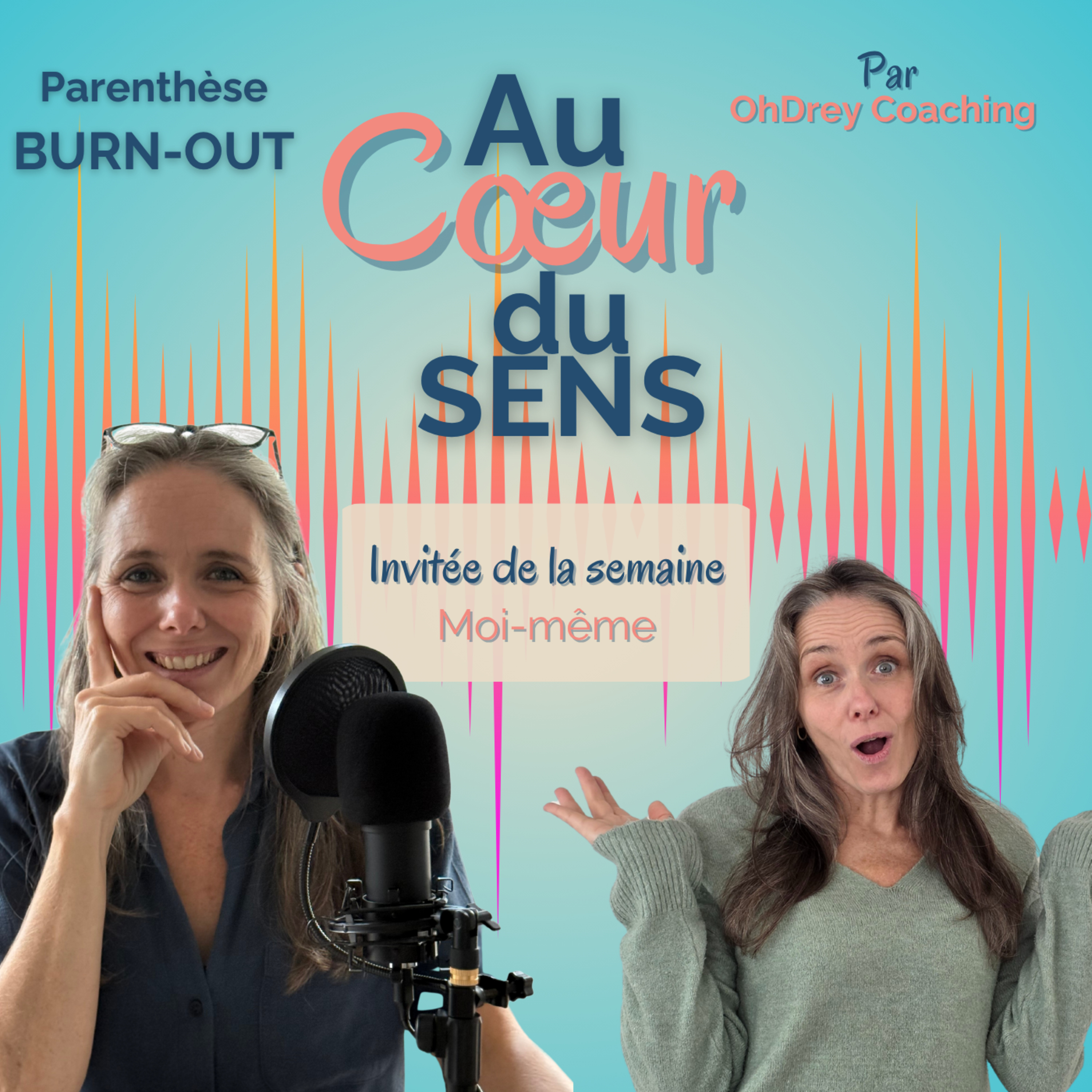Mon burn-out, mon parcours, les signaux et la reconstruction (auto-interview) — Parenthèse burn-out.mp3#118