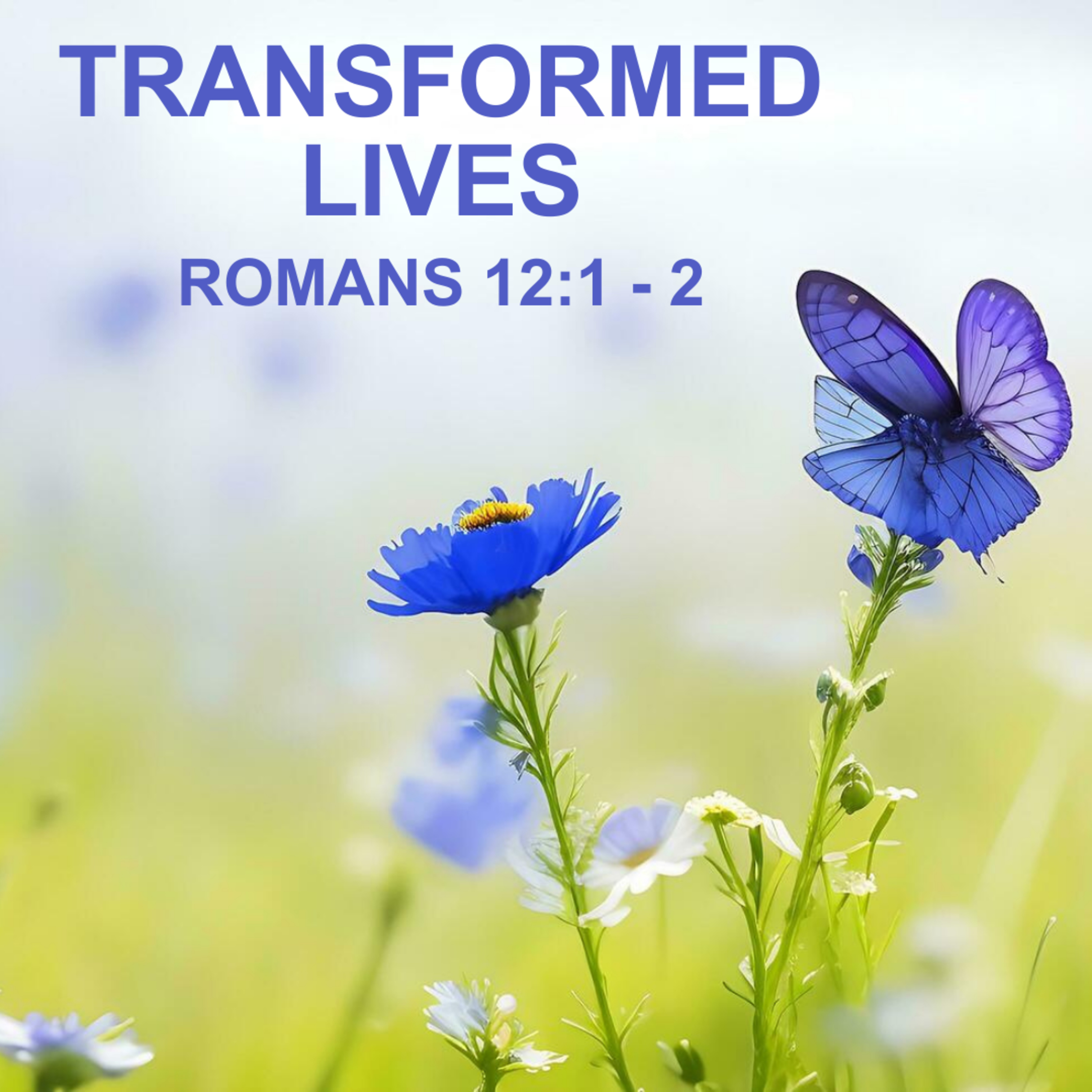 Transformed Lives