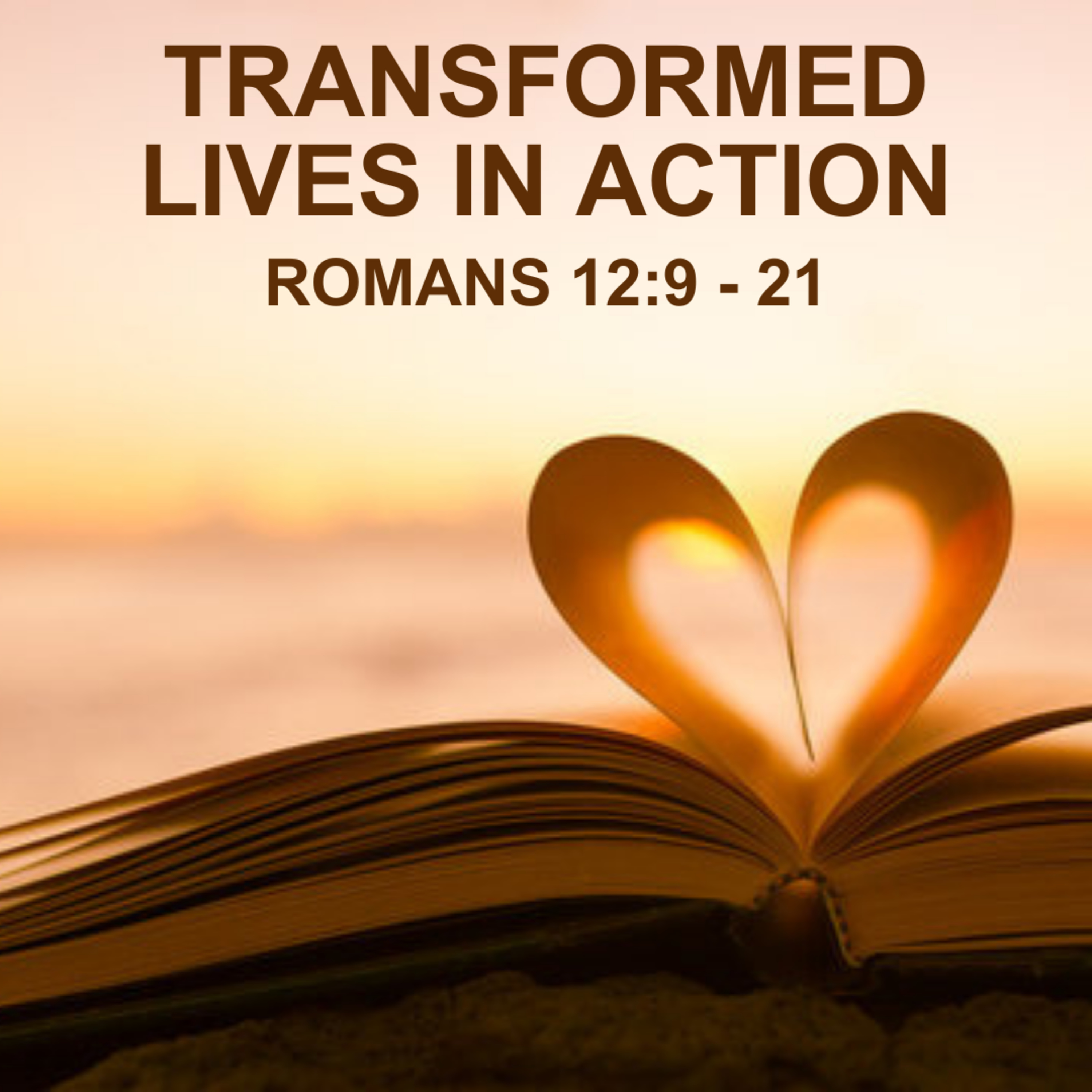 Transformed Lives in Action