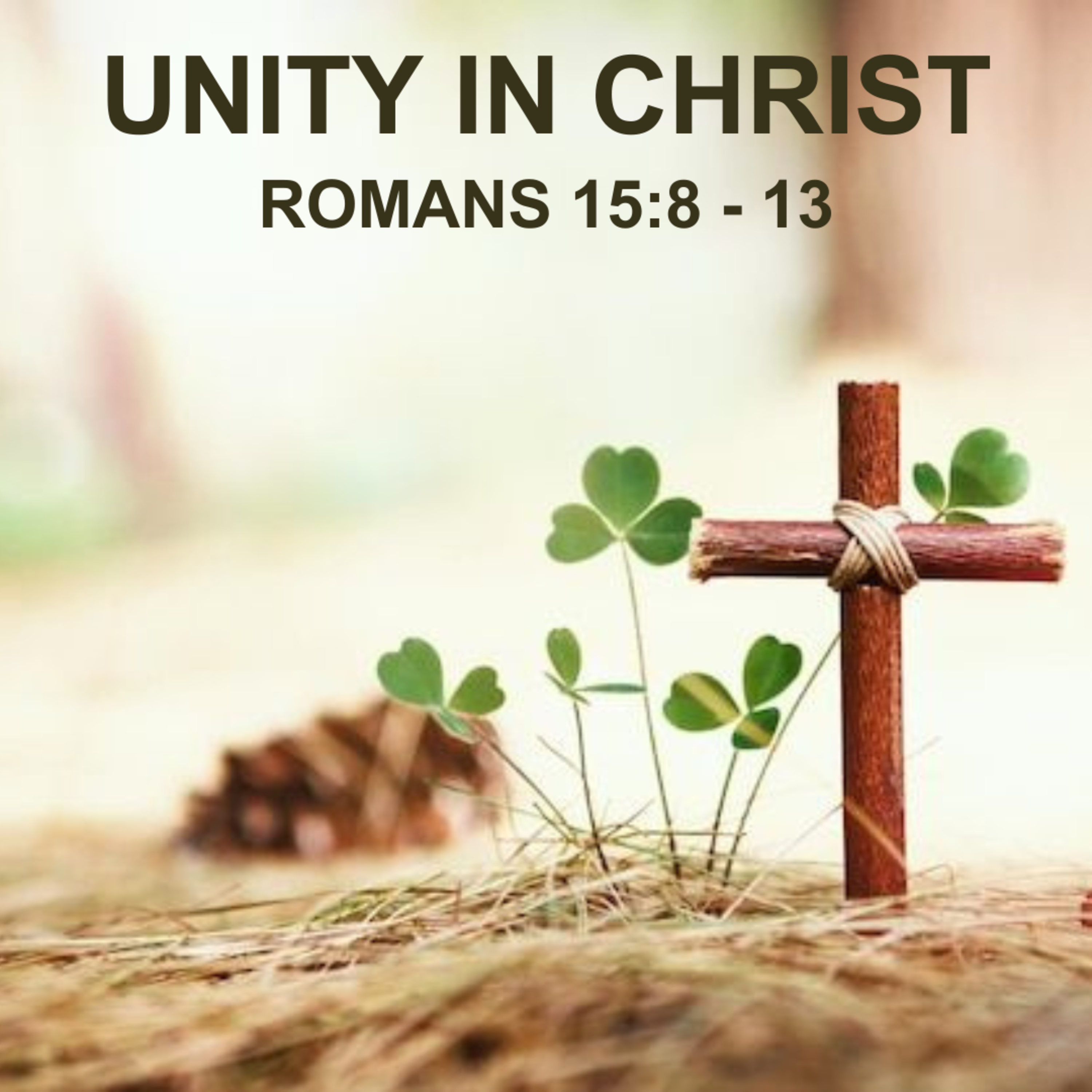Unity in Christ