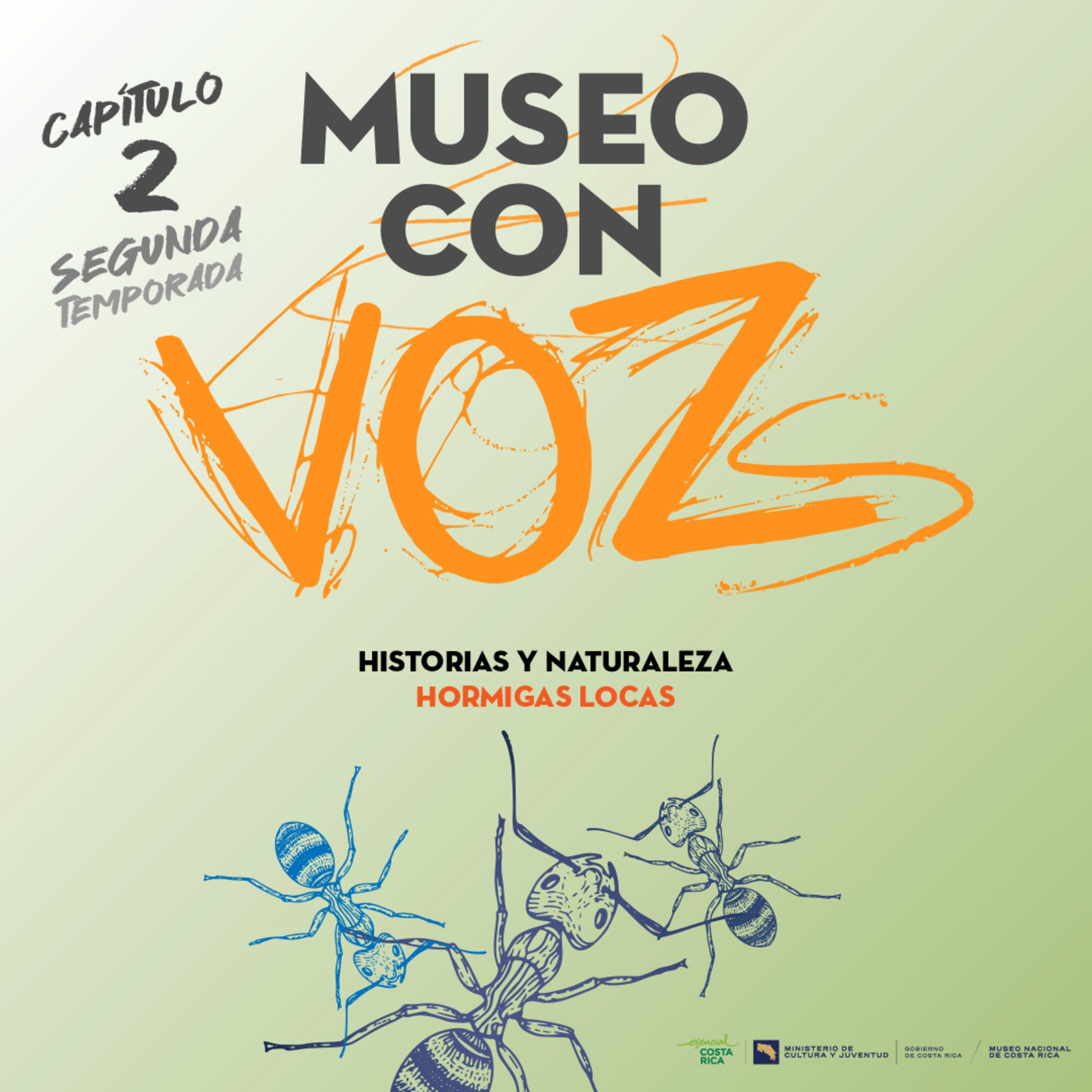 Museo con Voz/s