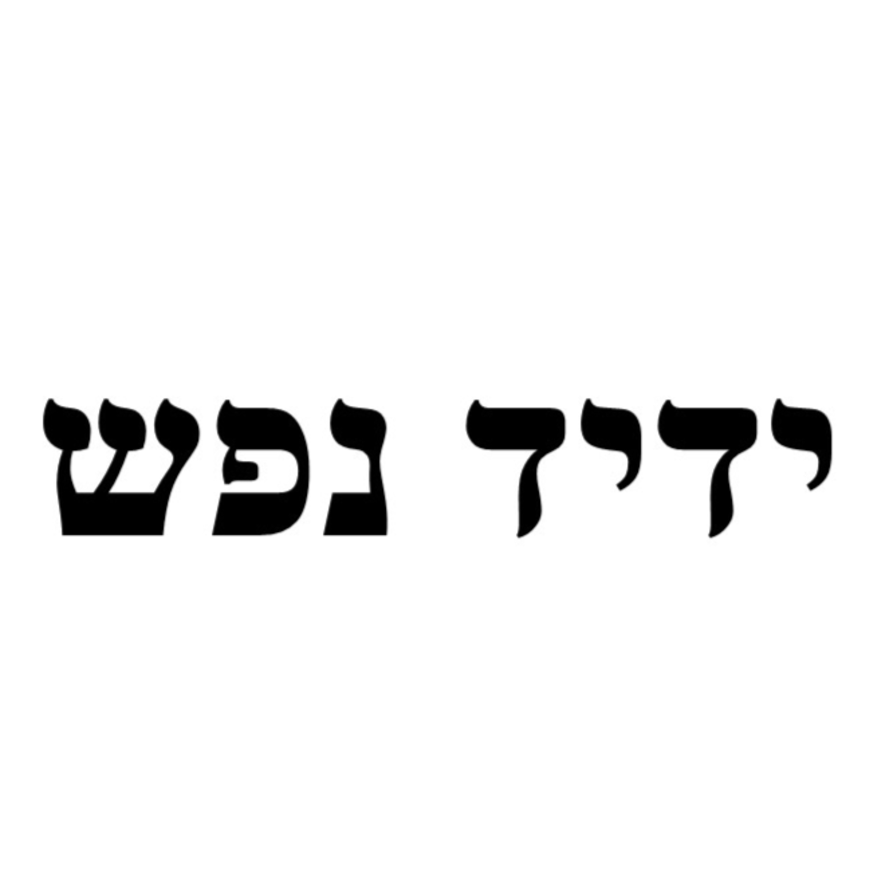 שיעור 11-09-2025 - ספר ידיד נפש - קיצורי כוונות האר"י - הרב יחיאל בר לב - ראש השנה - כשם שנשמות הצדיקים הם בנים לזכר ונקבה, כך דוגמתו למעלה שהזו"נ הם בנים לאבא ואמא ופנימיות אורם